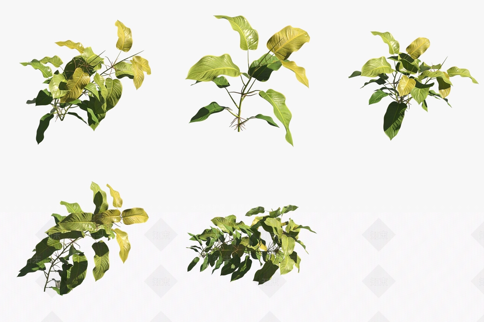 花草组合3D模型下载【ID:1188196654】