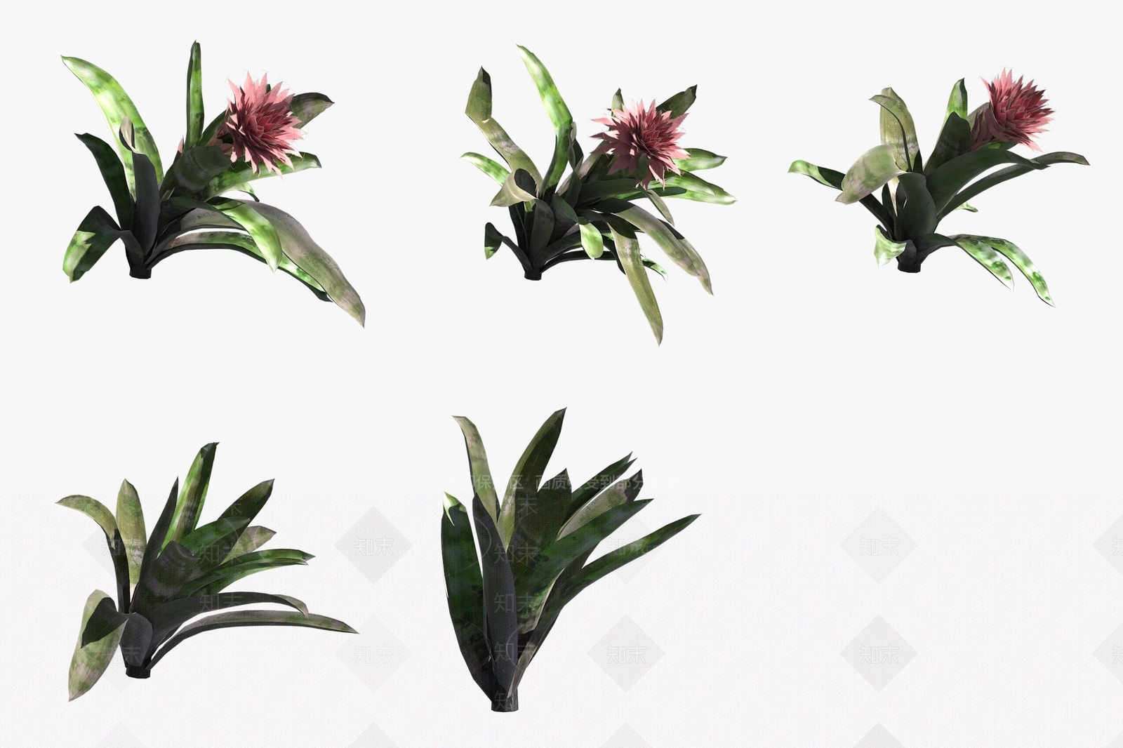 花草组合3D模型下载【ID:1188197332】