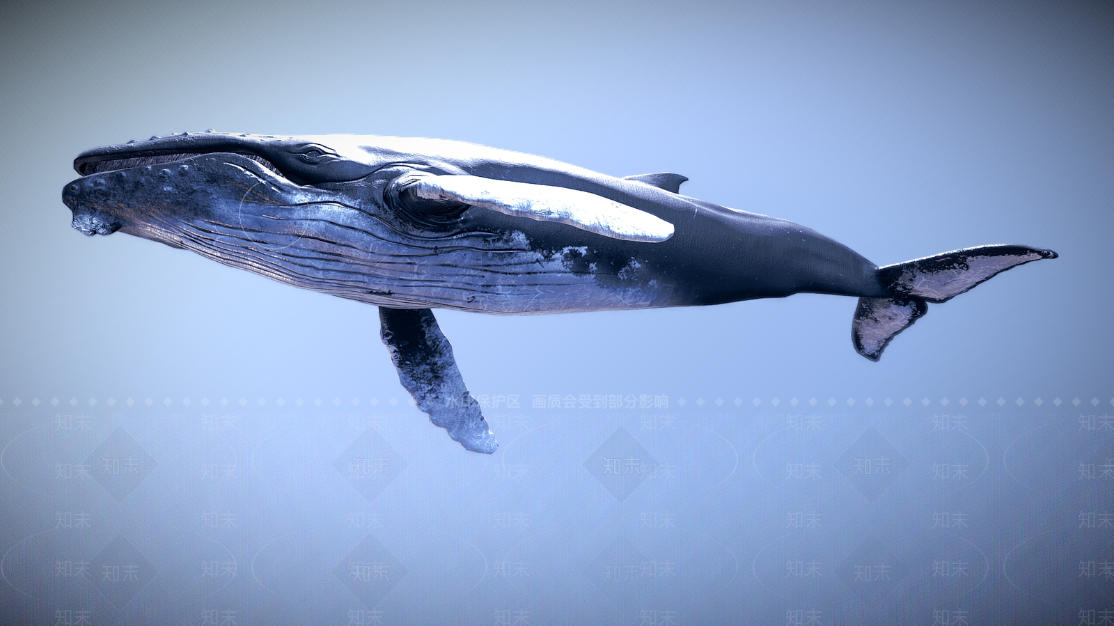 水生类动物3D模型下载【ID:1188207040】
