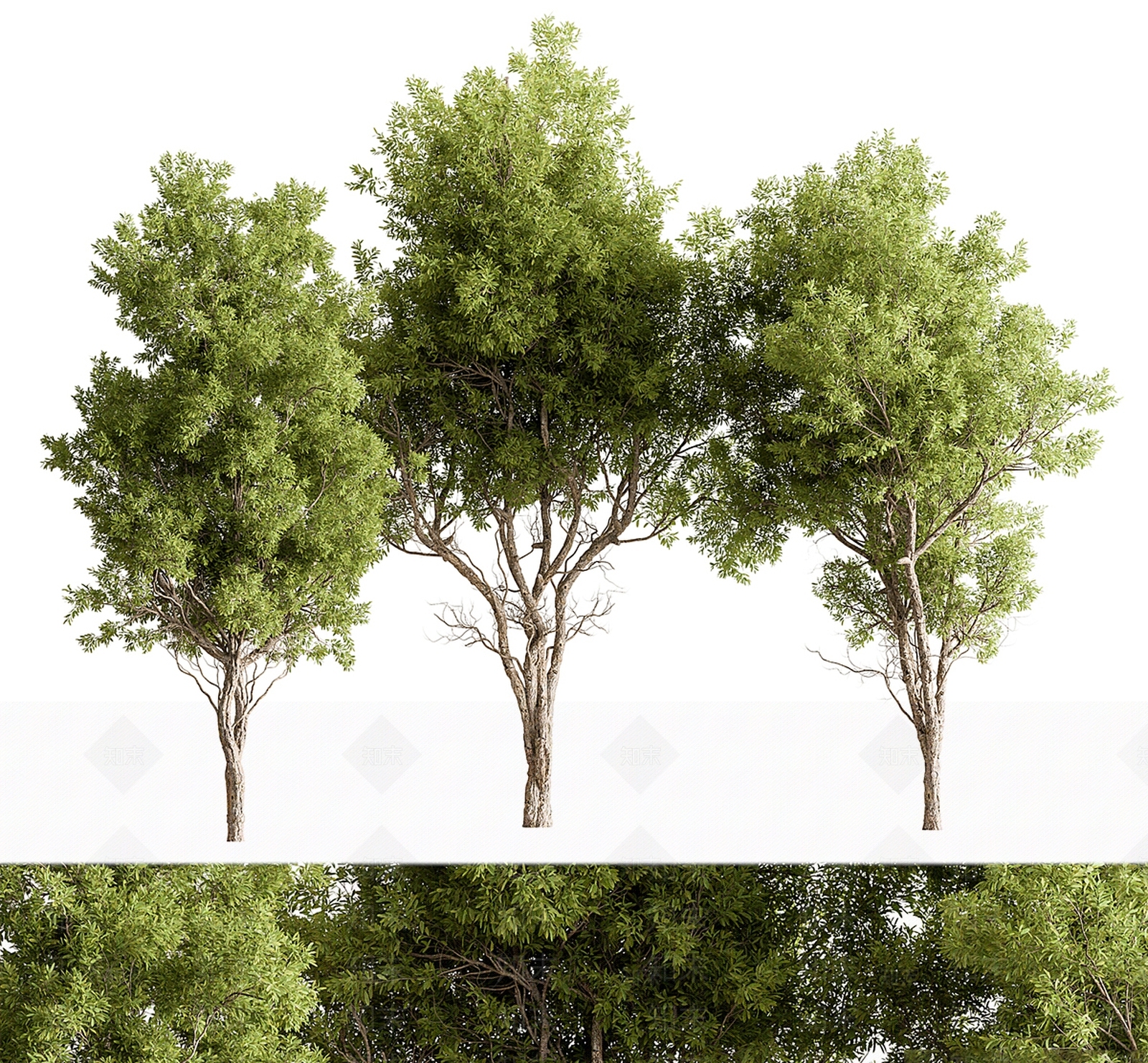 乔木3D模型下载【ID:1188237773】