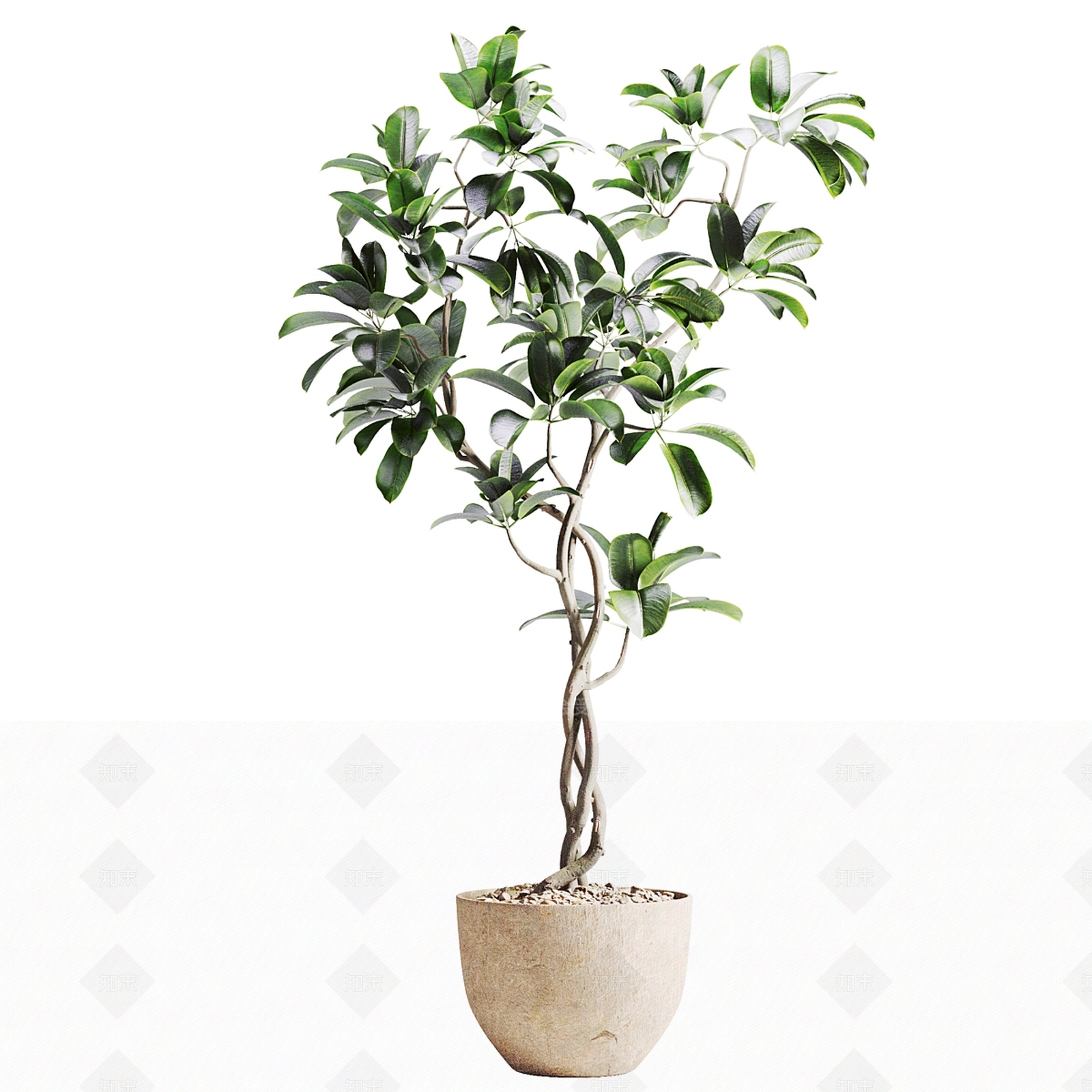 盆栽3D模型下载【ID:1188250459】