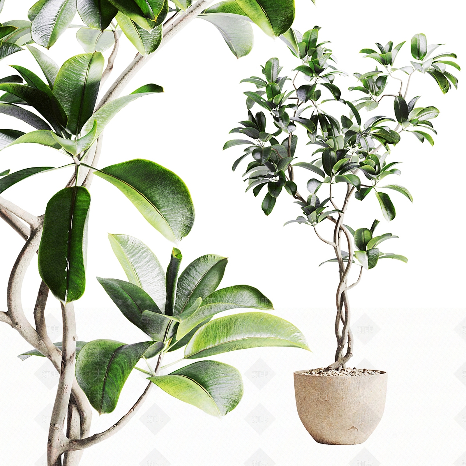 盆栽3D模型下载【ID:1188250459】