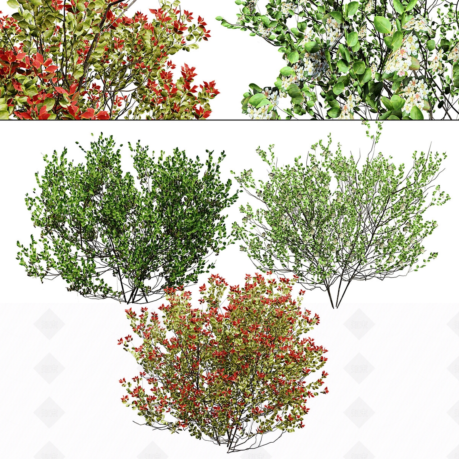 灌木3D模型下载【ID:1188256092】
