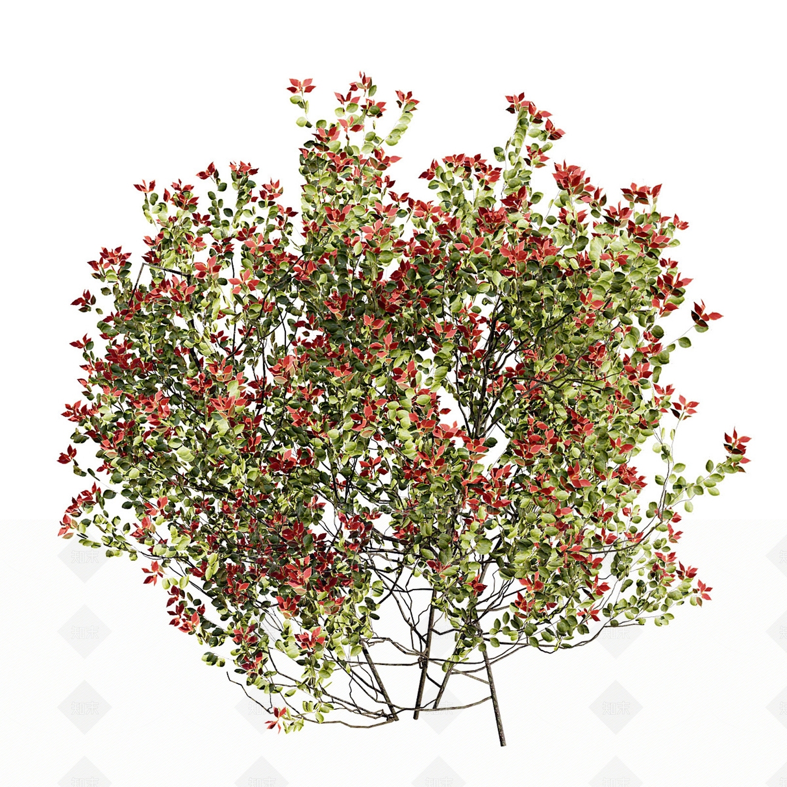 灌木3D模型下载【ID:1188256092】