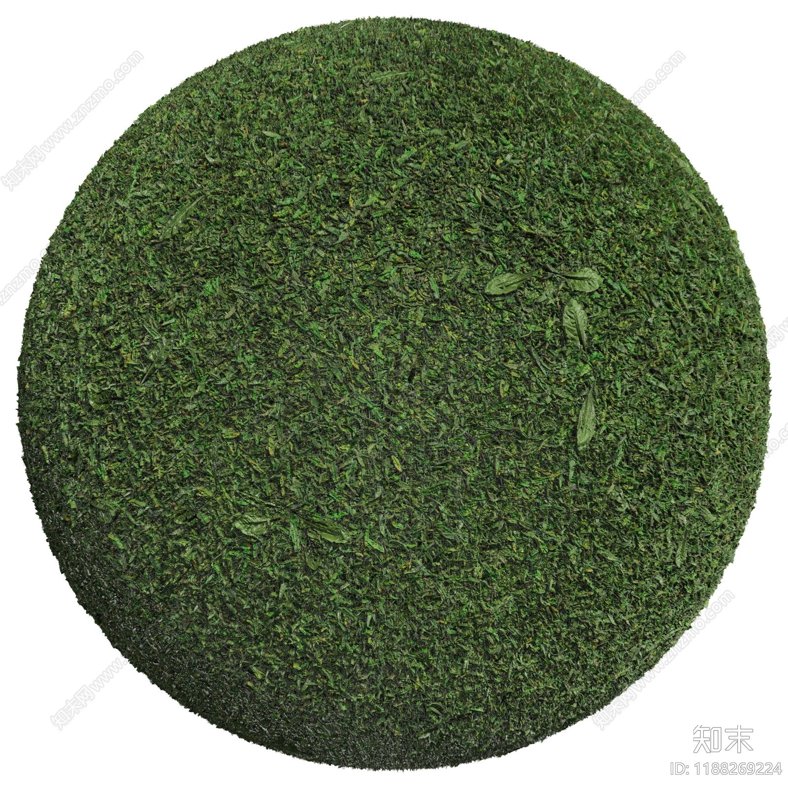 户外下载【ID:1188269224】