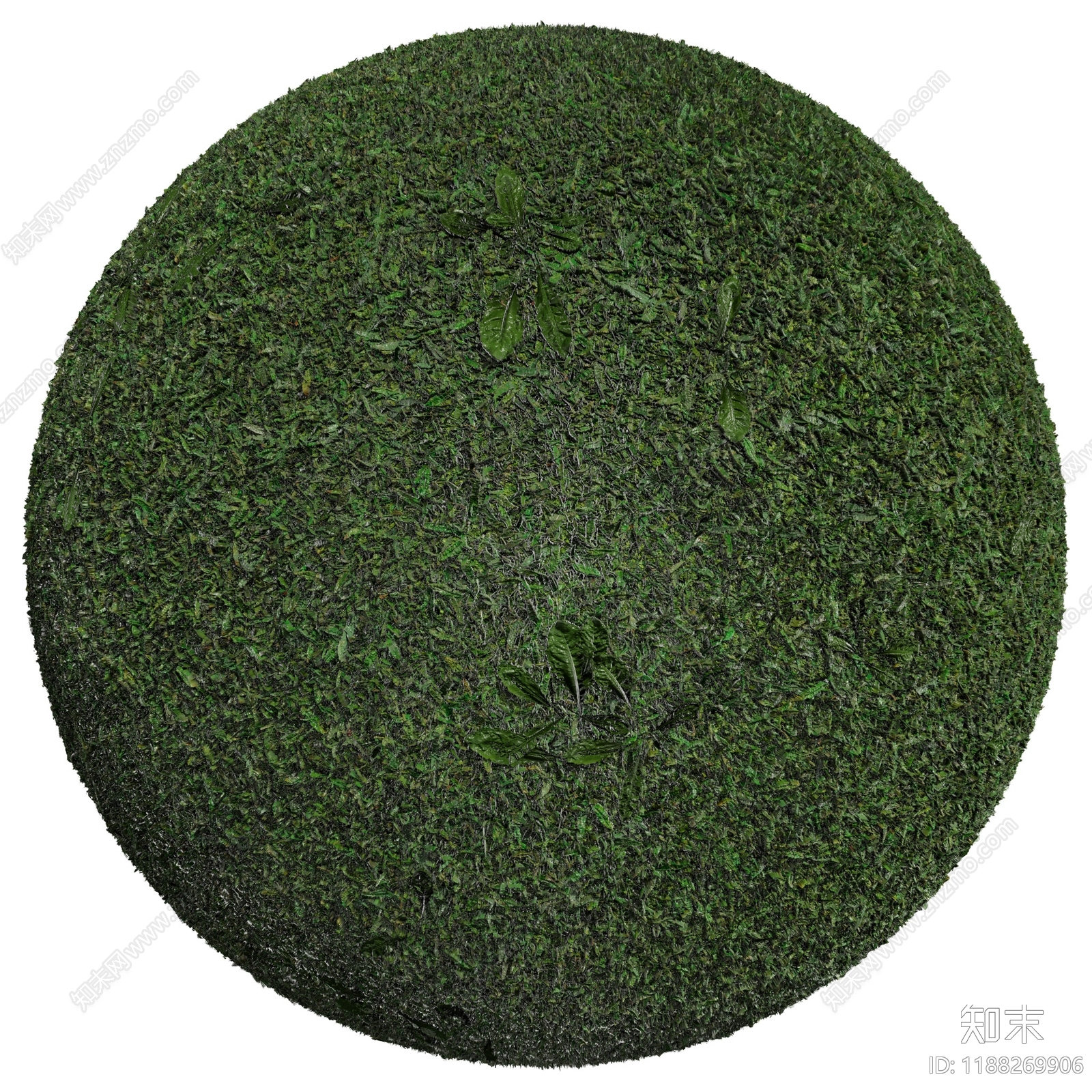 户外下载【ID:1188269906】