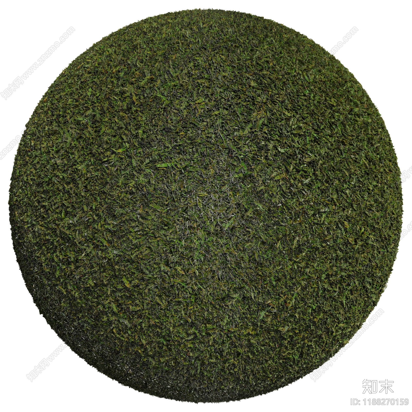 户外下载【ID:1188270159】