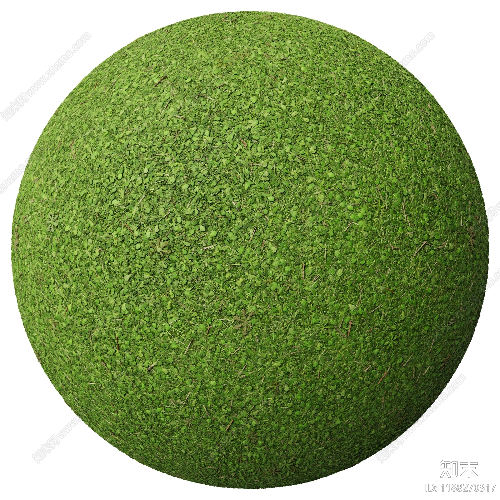 户外下载【ID:1188270317】