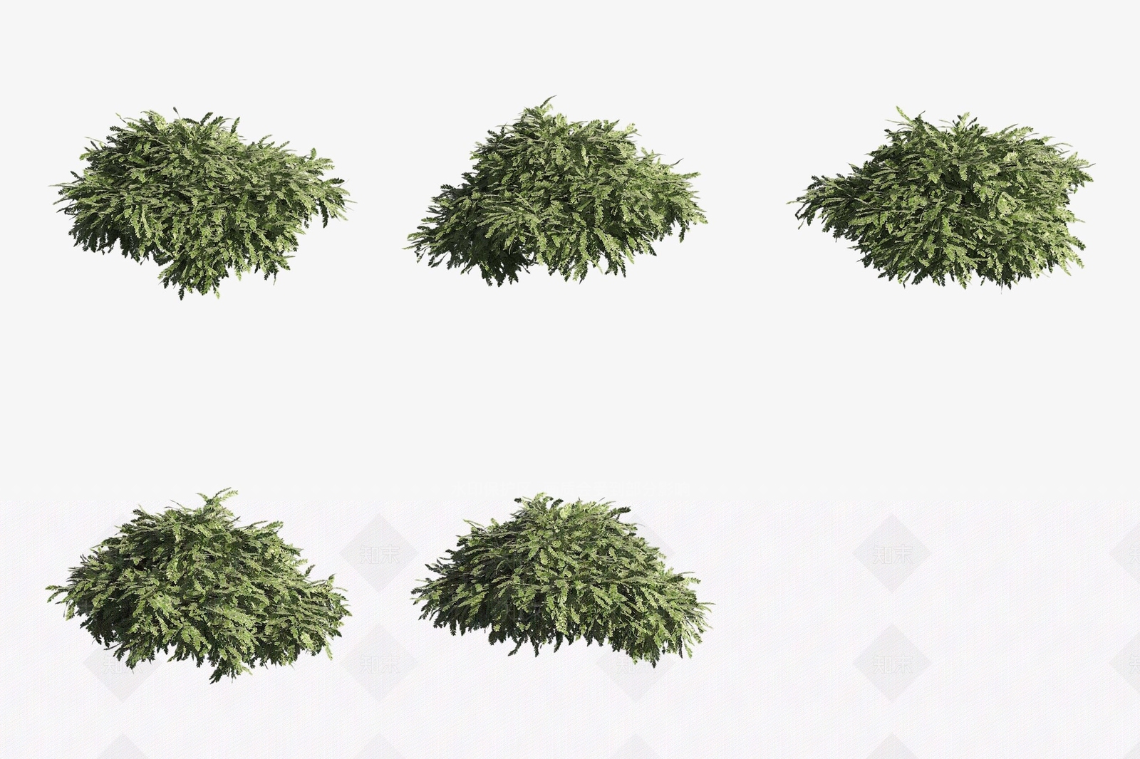 水生植物3D模型下载【ID:1188287656】