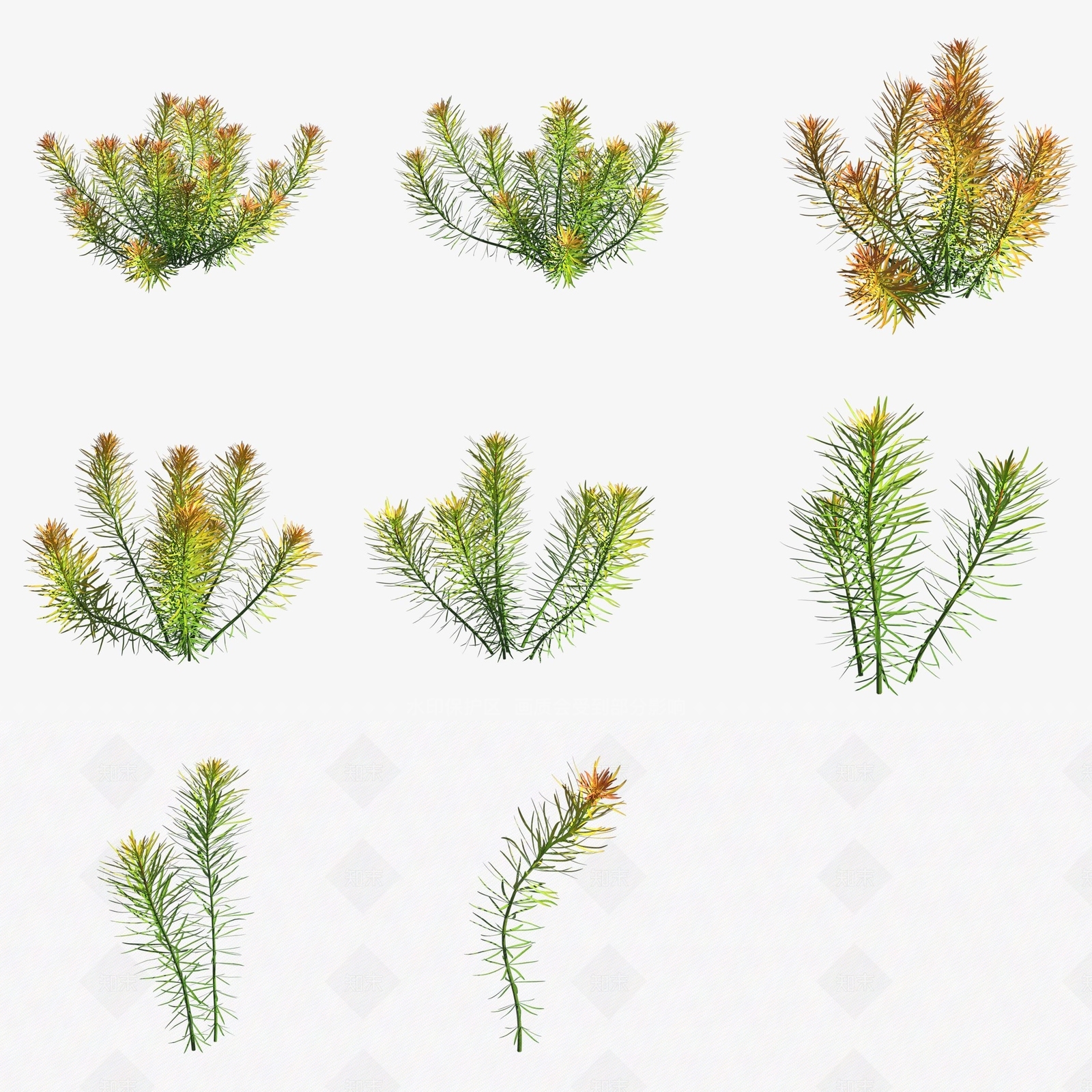 水生植物3D模型下载【ID:1188289154】