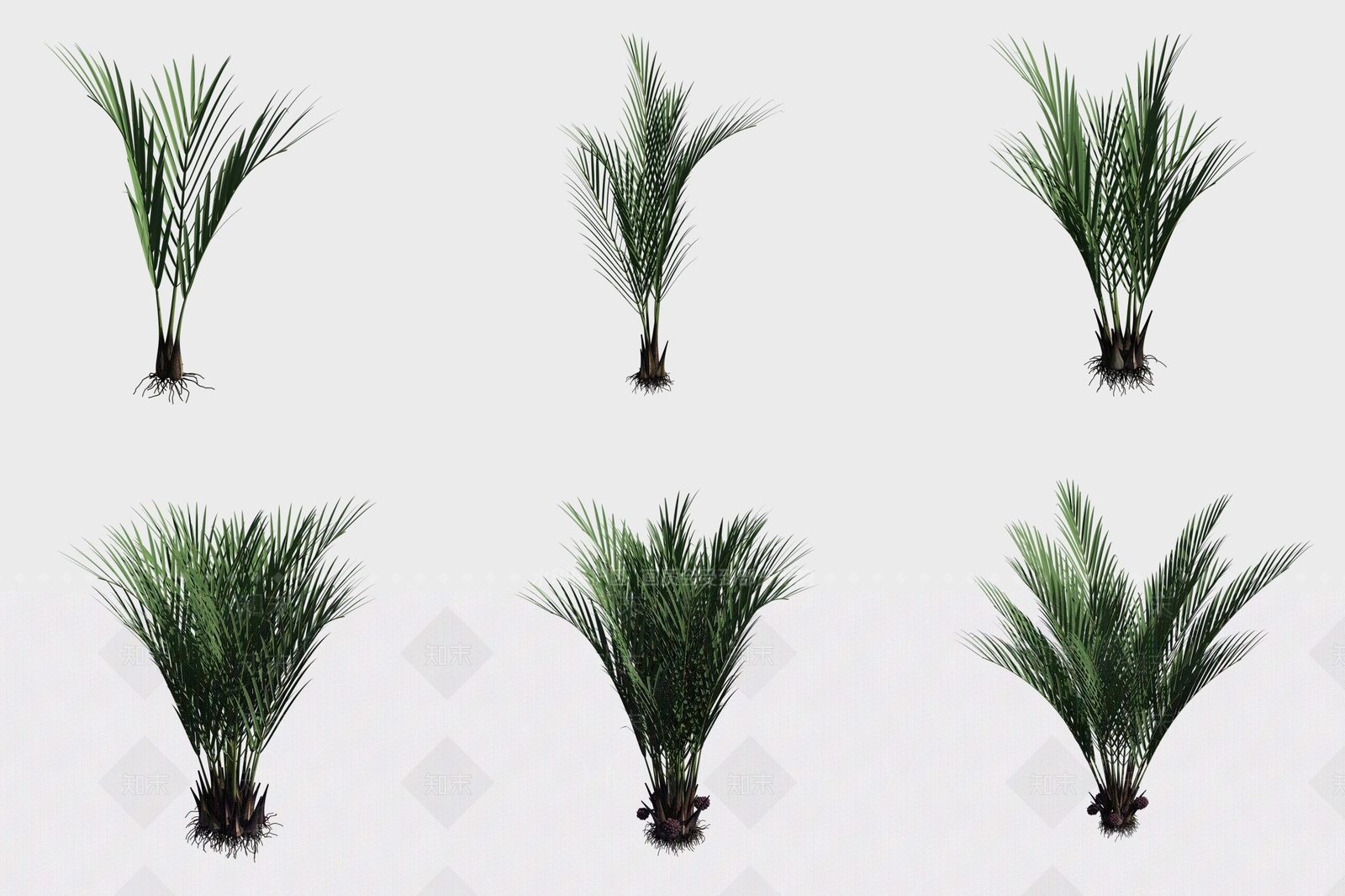 景观树3D模型下载【ID:1188291217】
