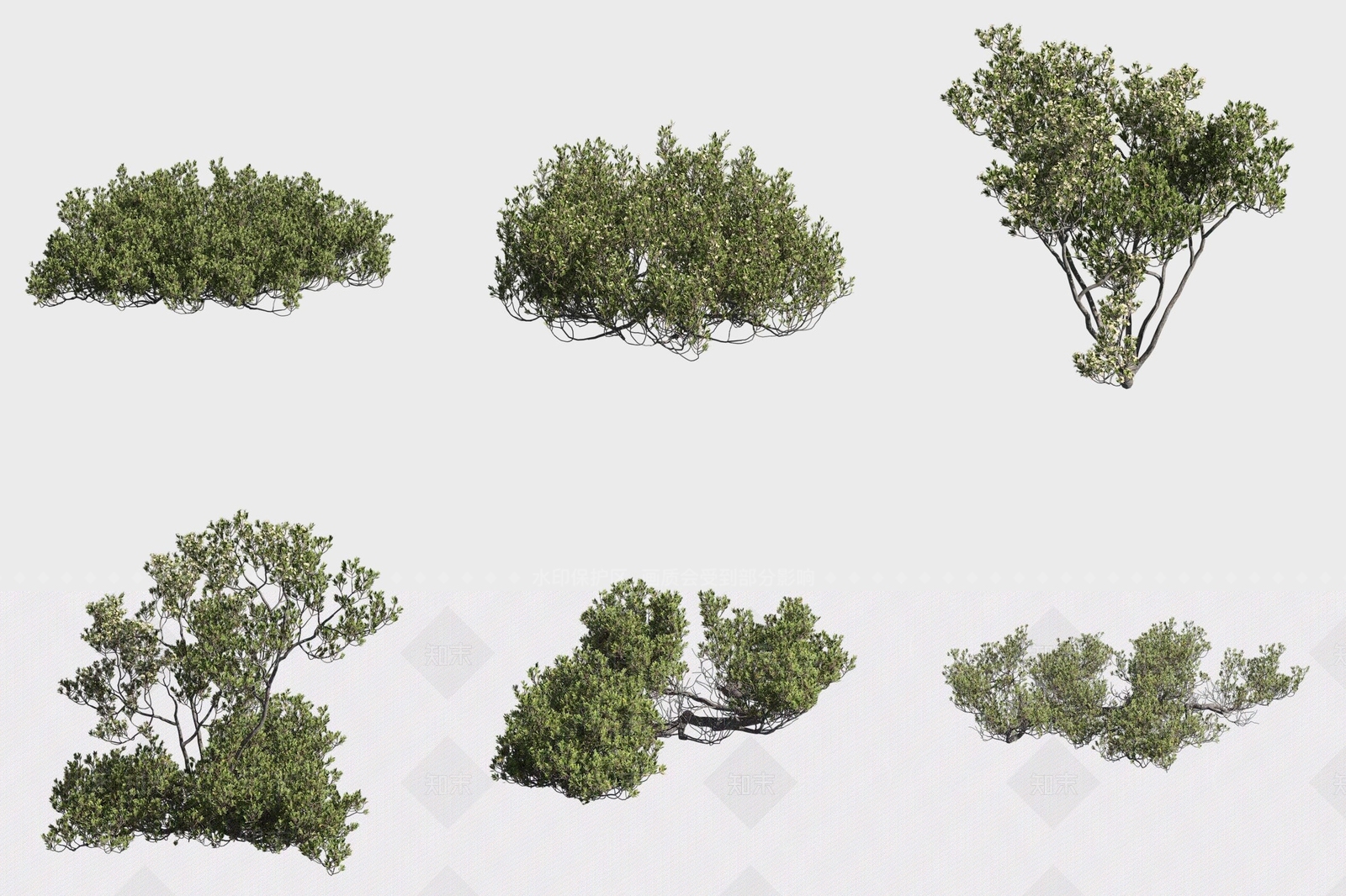 灌木3D模型下载【ID:1188291309】