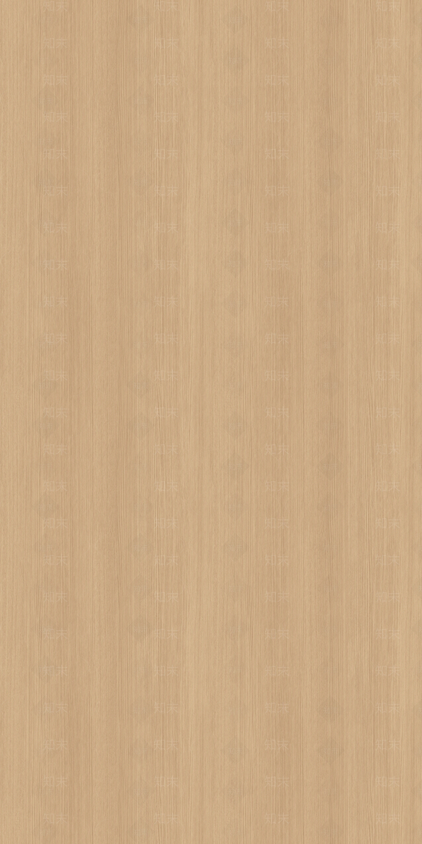 原木原木贴图下载【ID:1188294025】