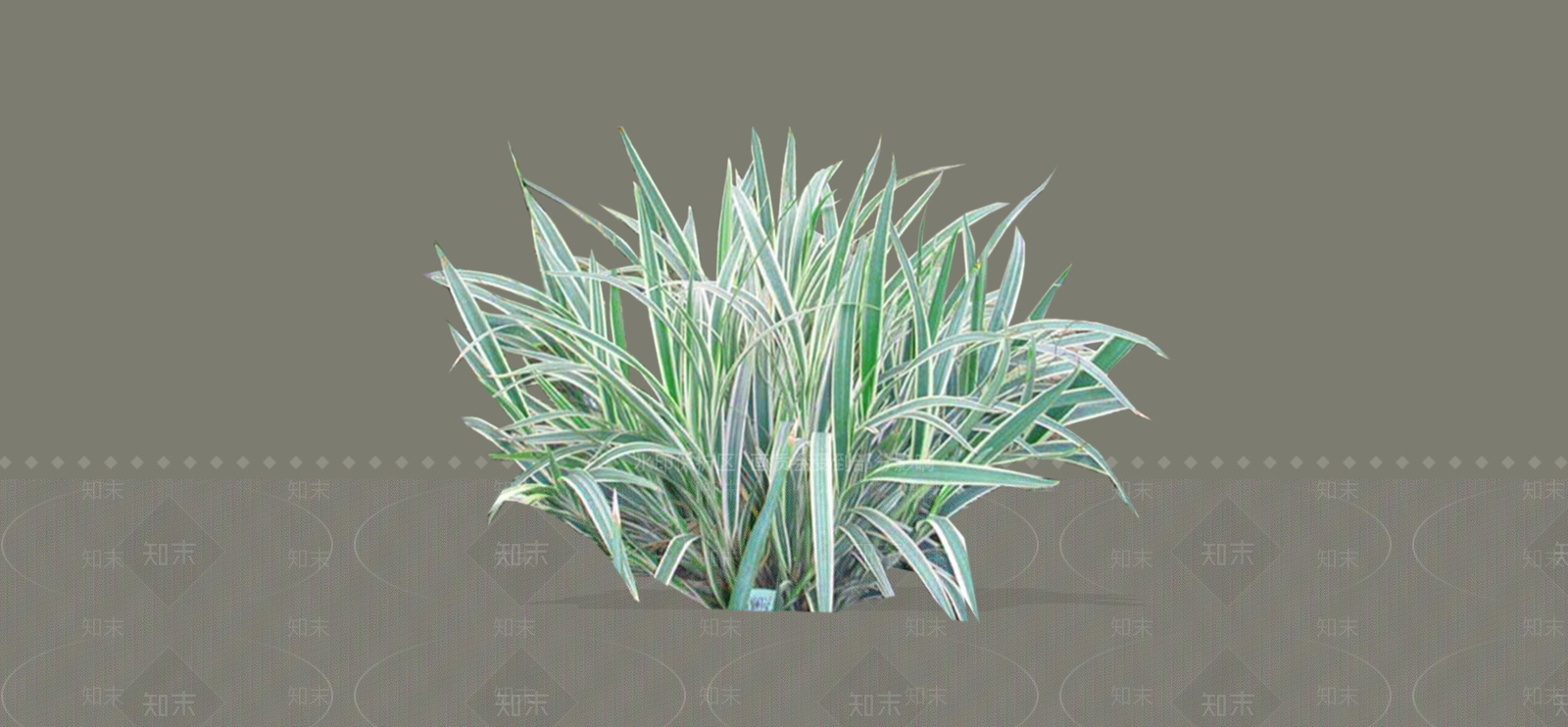 灌木SU模型下载【ID:1188338038】