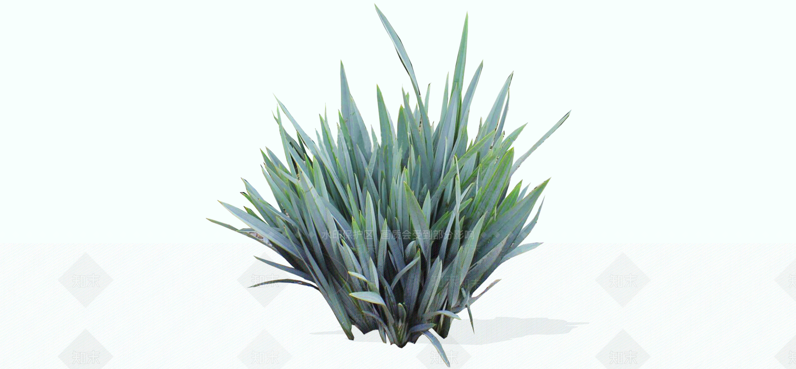 灌木SU模型下载【ID:1188338650】