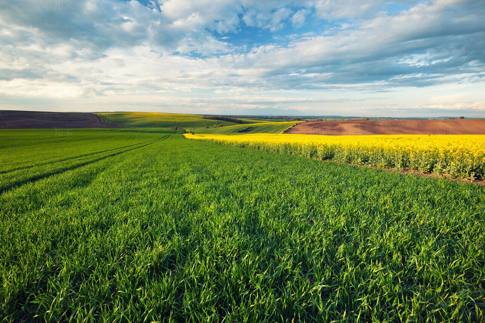 现代新中式天空外景贴图下载【ID:1188363984】