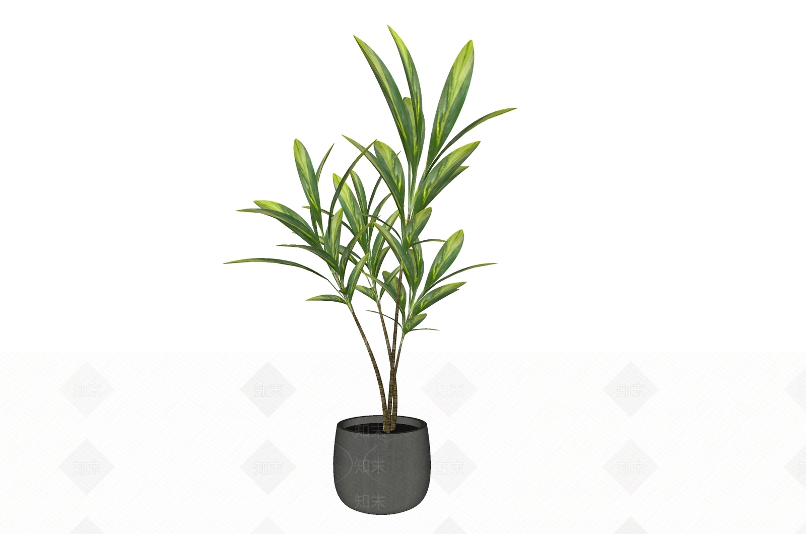 盆栽SU模型下载【ID:1188437182】