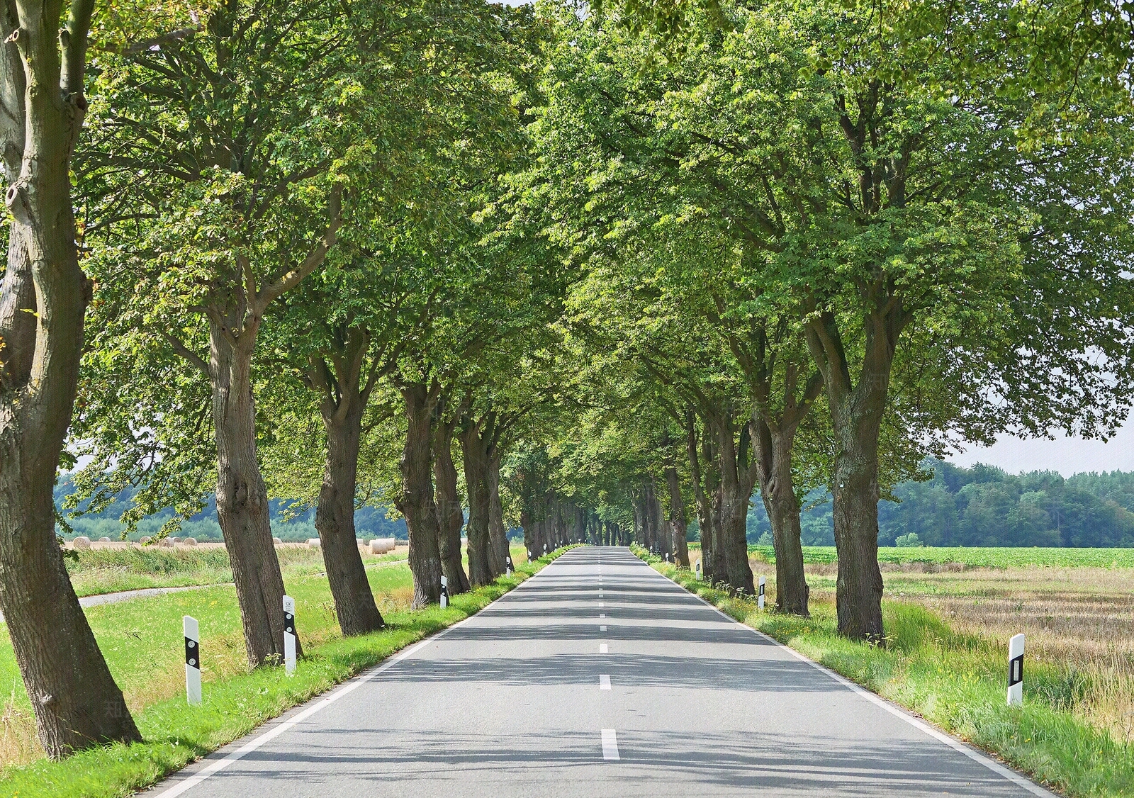 中式现代街道外景贴图下载【ID:1188489537】