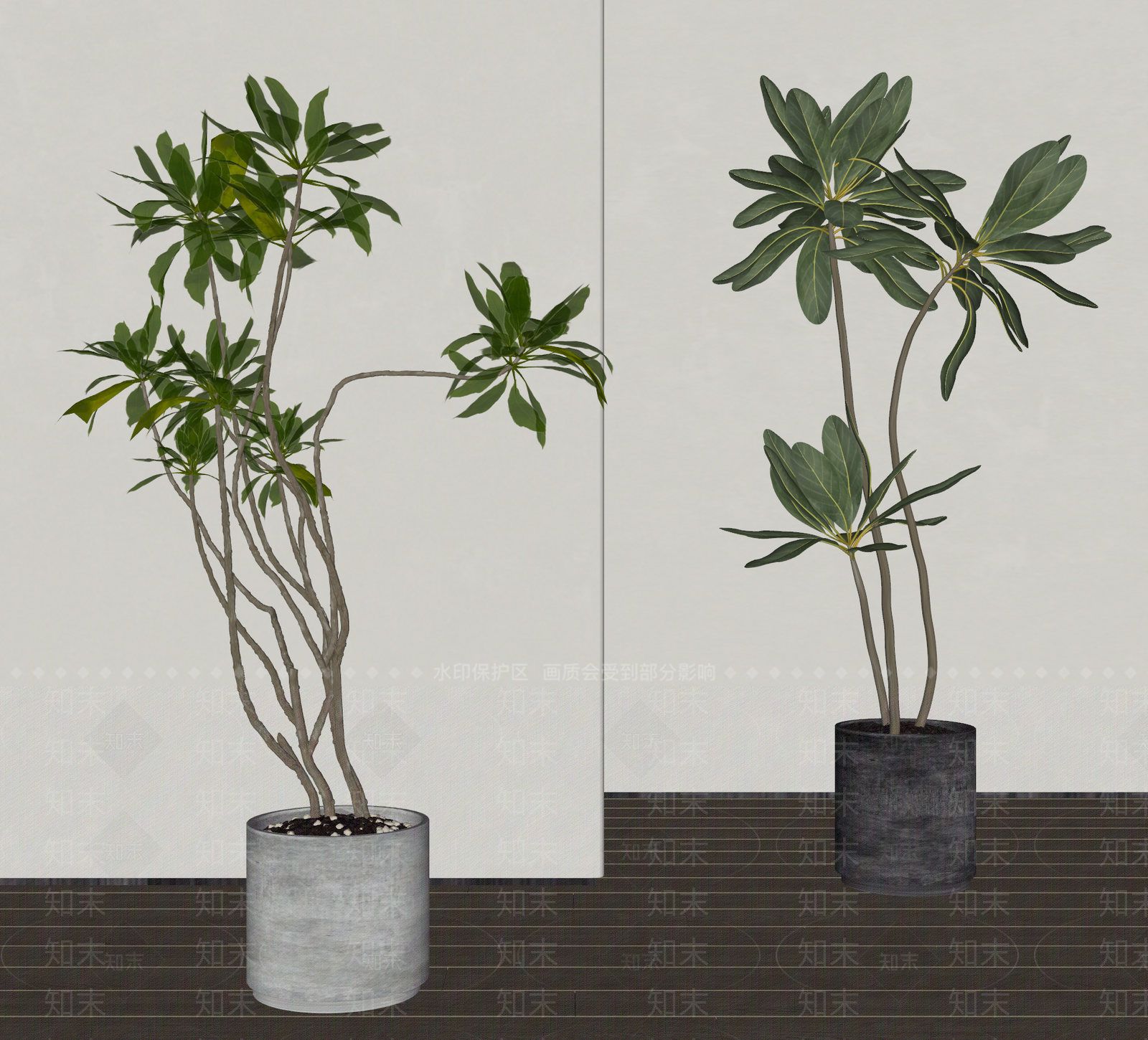 盆栽SU模型下载【ID:1188524153】