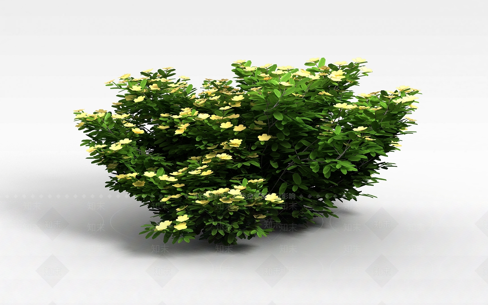 现代景观植物绿篱3D模型下载【ID:1188542671】