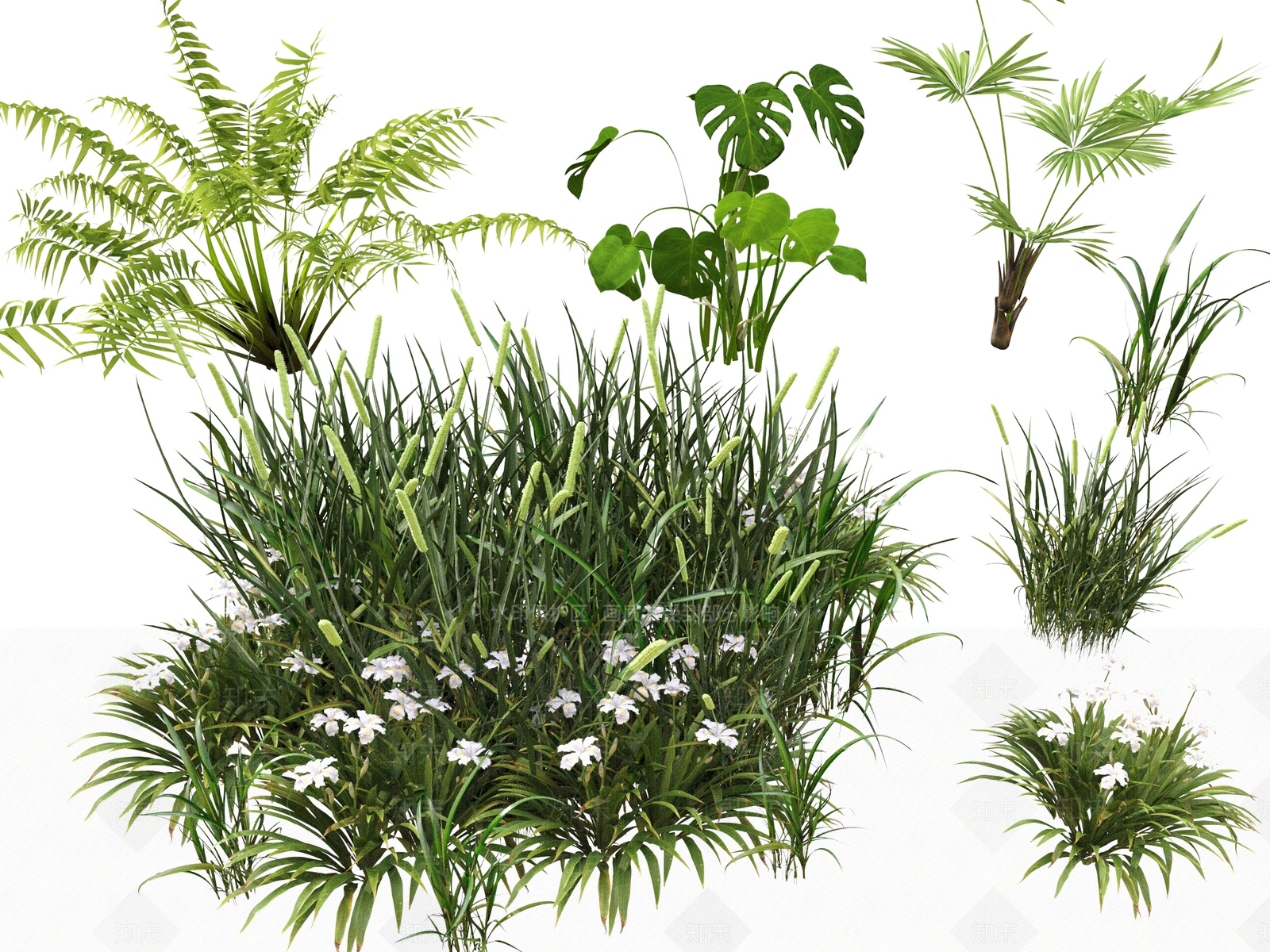 花草SU模型下载【ID:1188574927】
