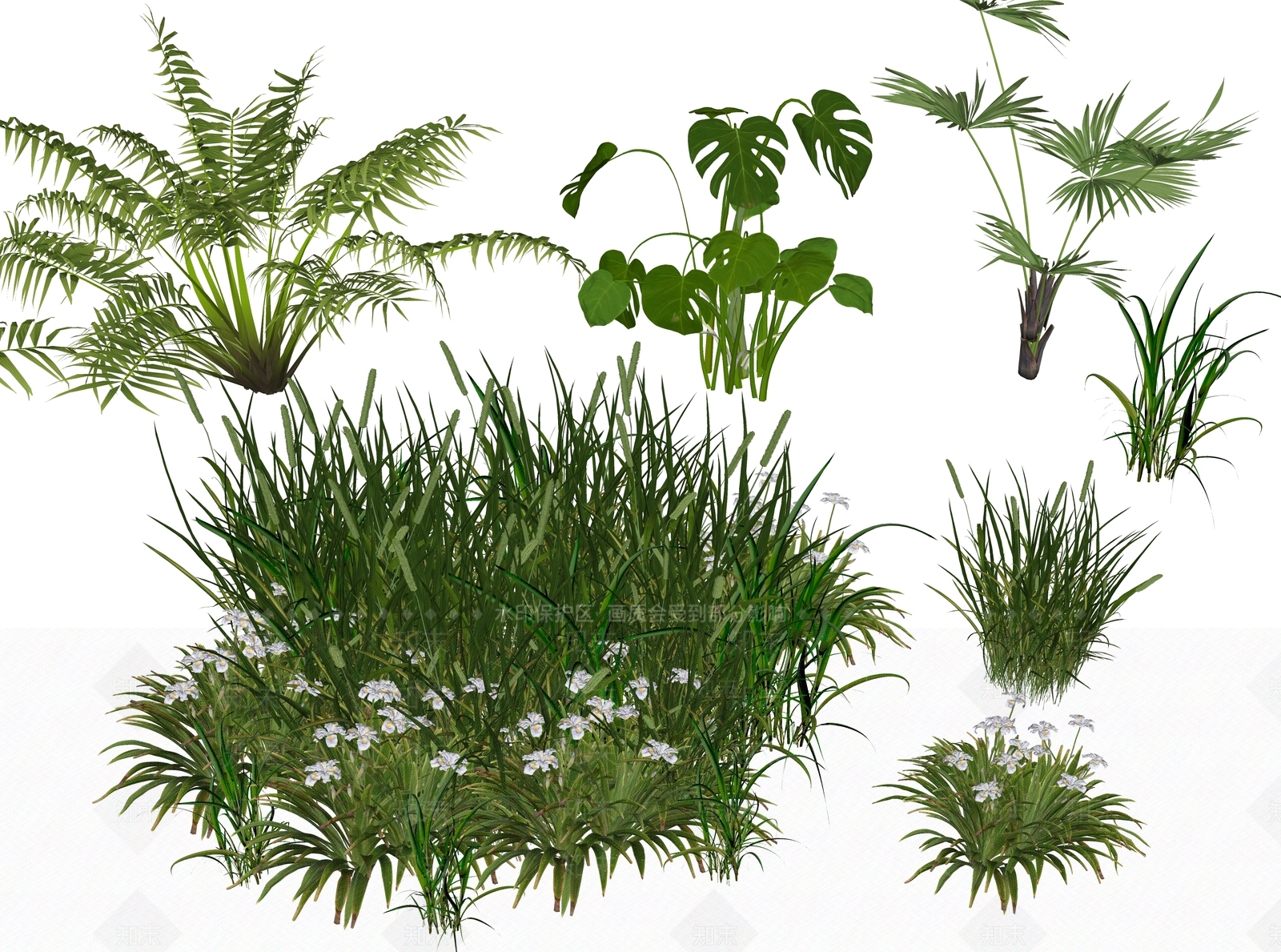 花草SU模型下载【ID:1188574927】