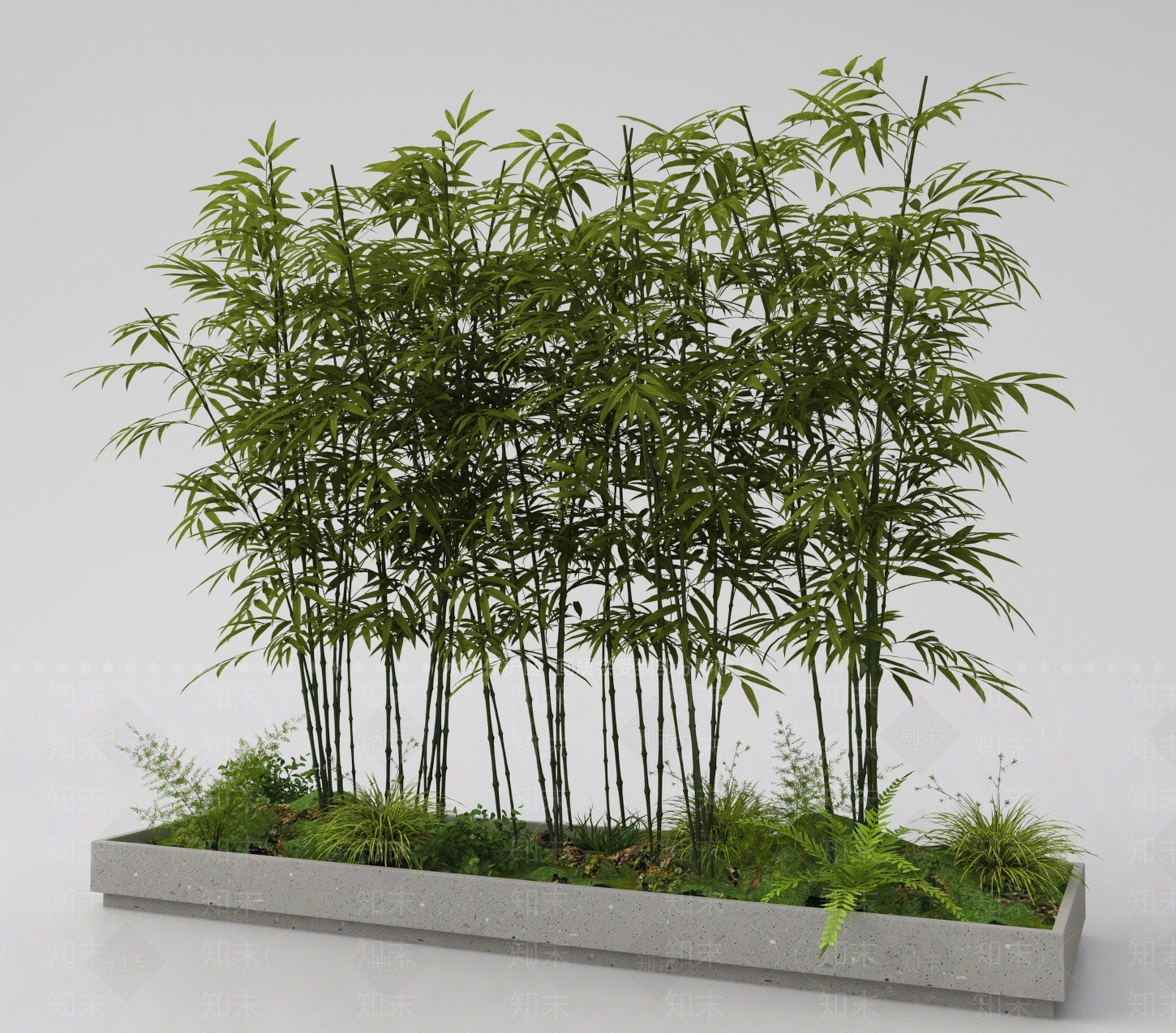 竹子SU模型下载【ID:1188578079】
