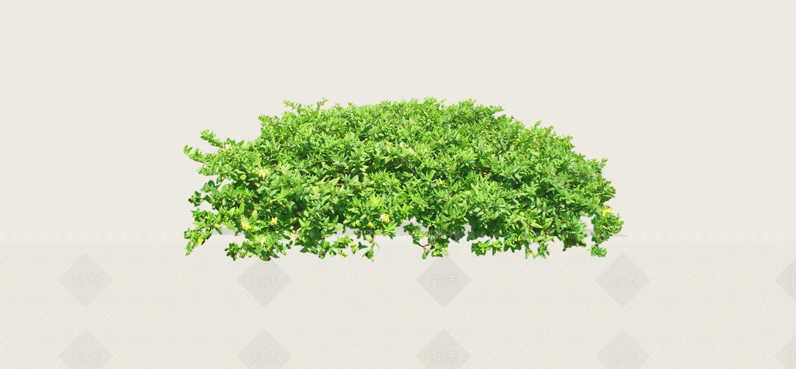 灌木SU模型下载【ID:1188622054】