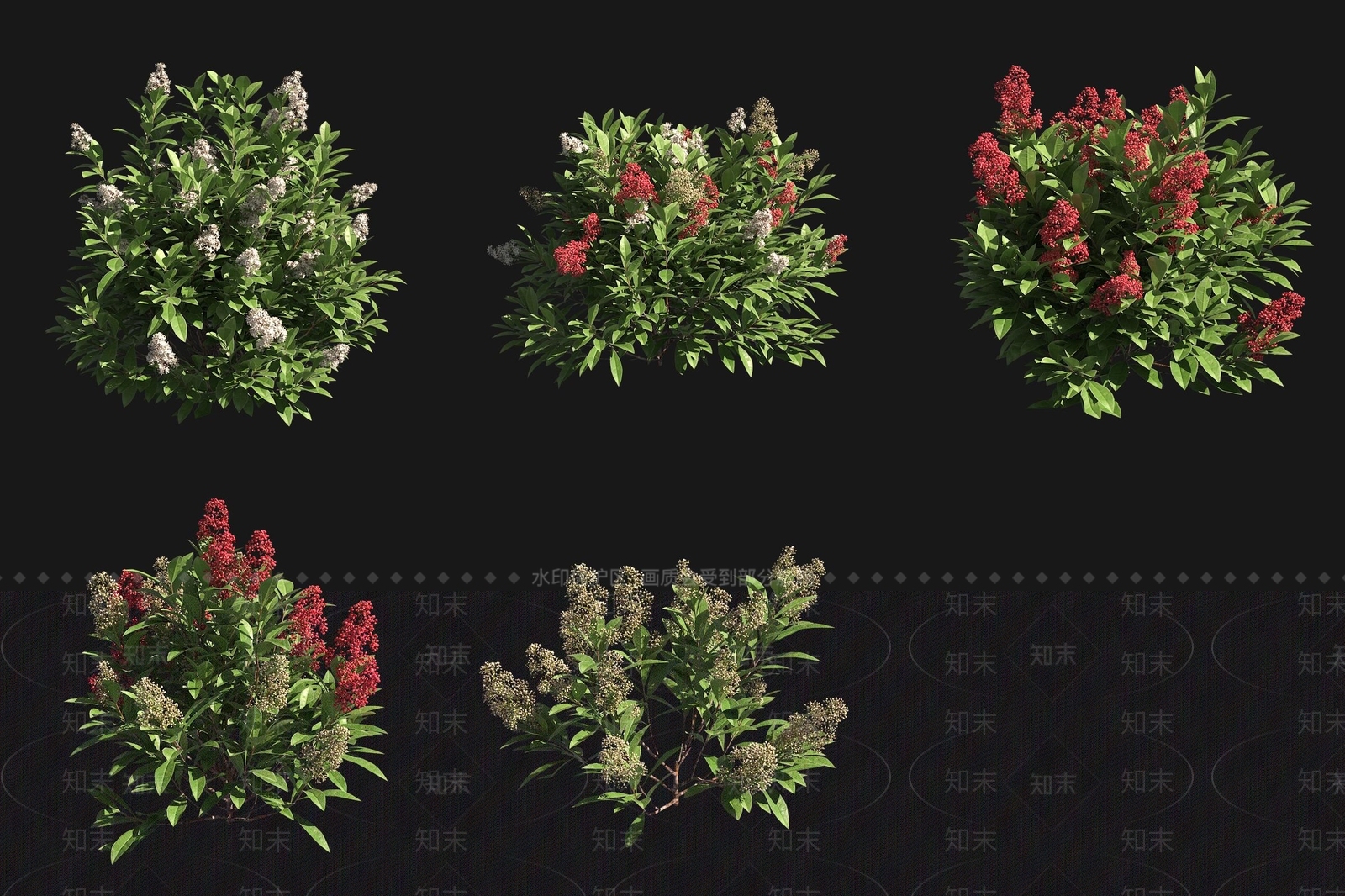 灌木3D模型下载【ID:1188628282】