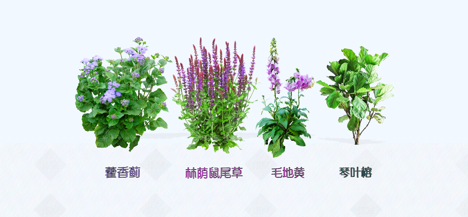 灌木SU模型下载【ID:1188657270】