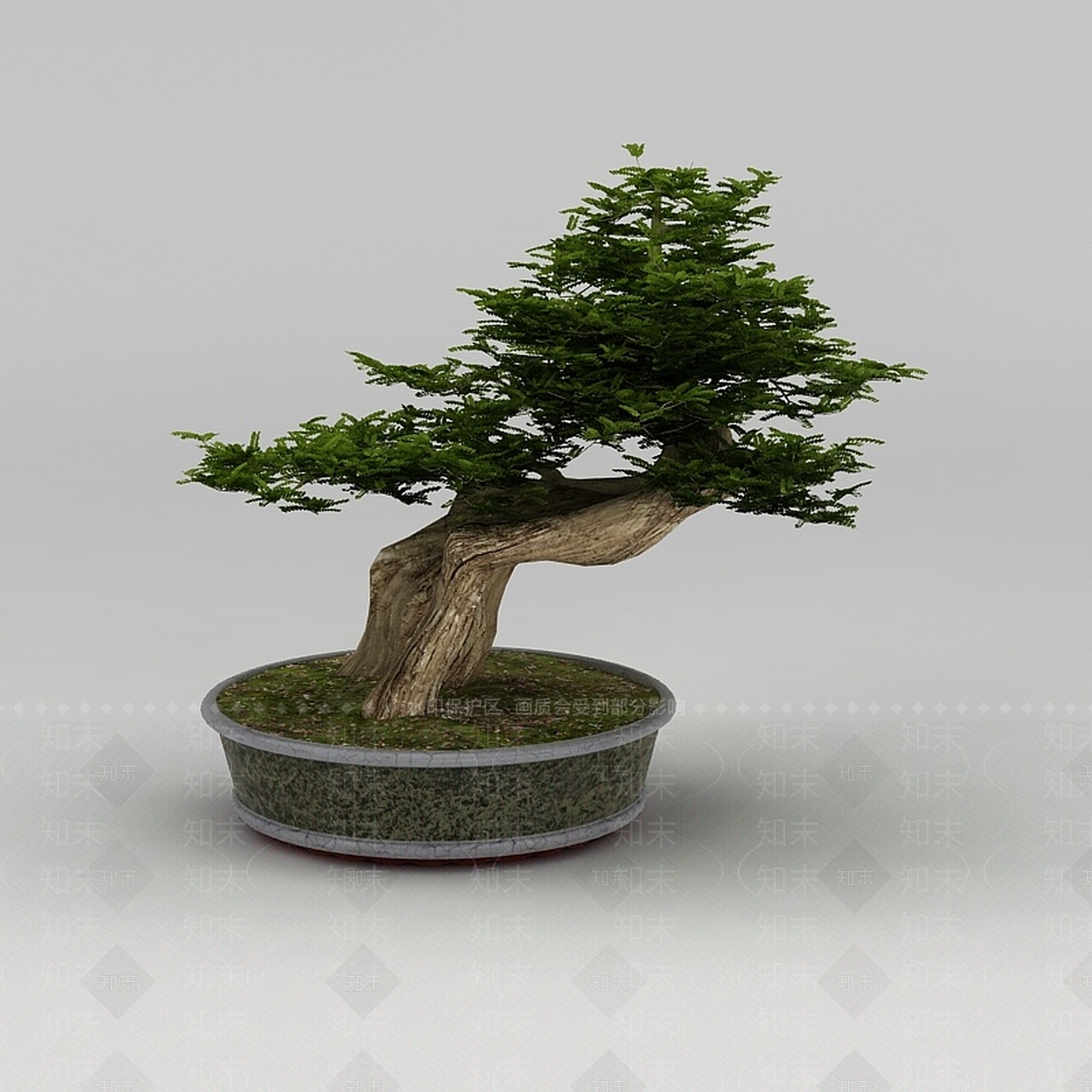 现代树木盆栽3D模型下载【ID:1188659630】