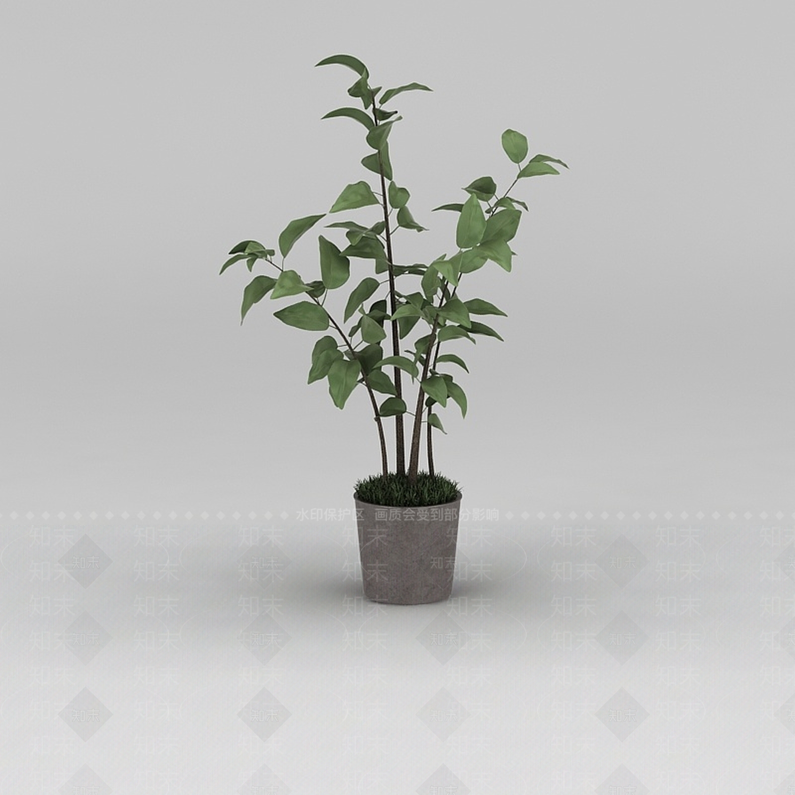 现代灌木3D模型渲染效果图