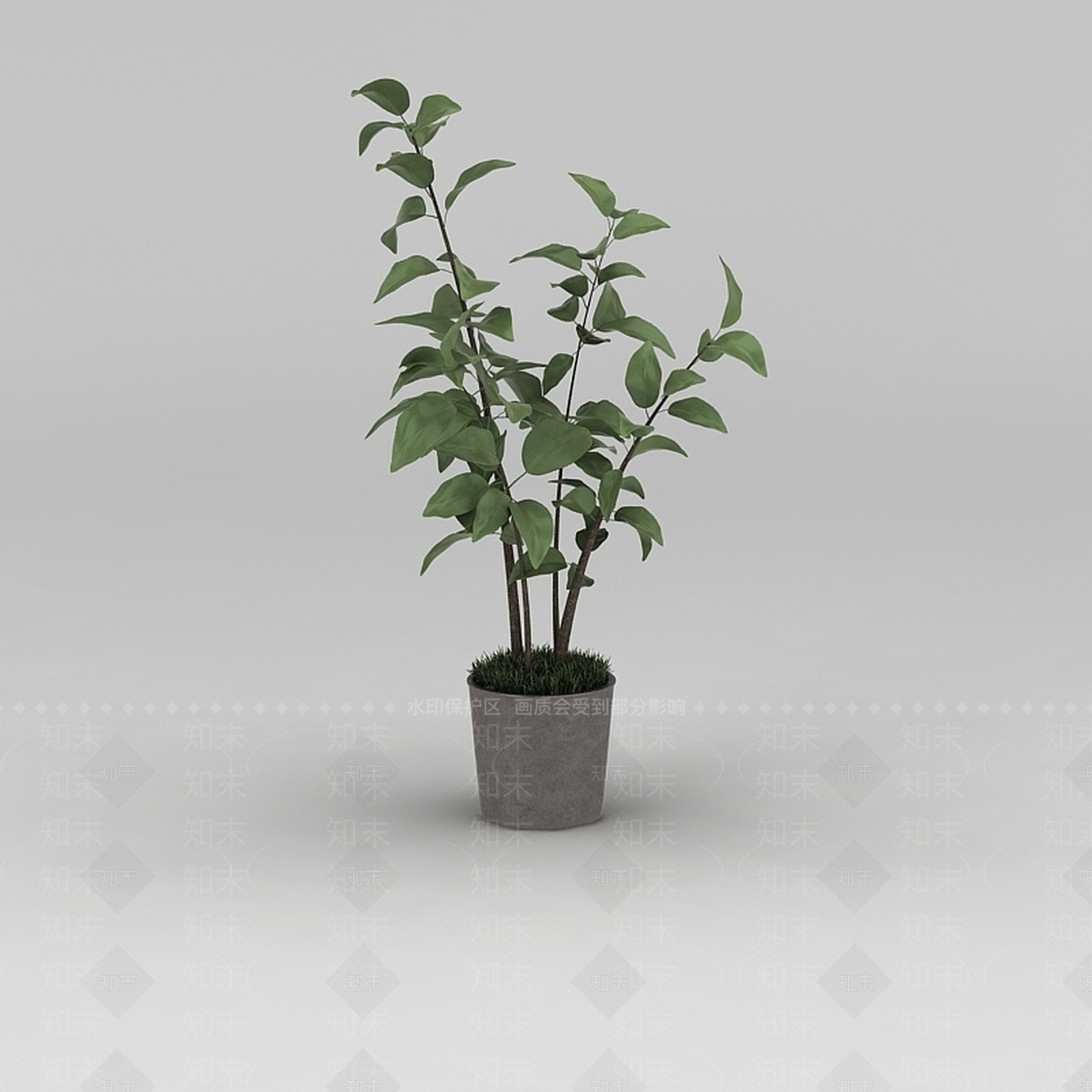现代小树苗绿植盆栽3D模型下载【ID:1188663986】