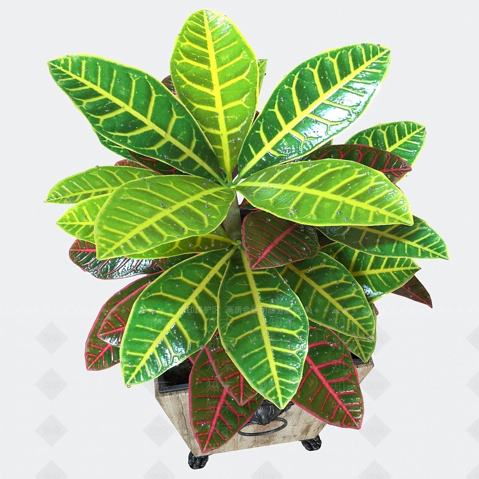 其他绿植3D模型下载【ID:1188665595】