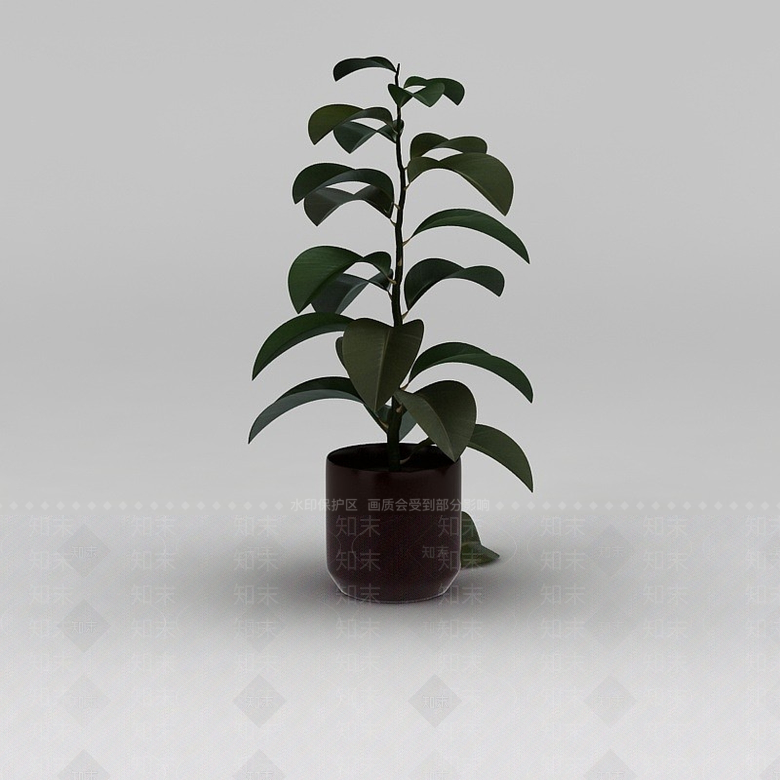 现代灌木绿植盆栽3D模型下载【ID:1188676676】