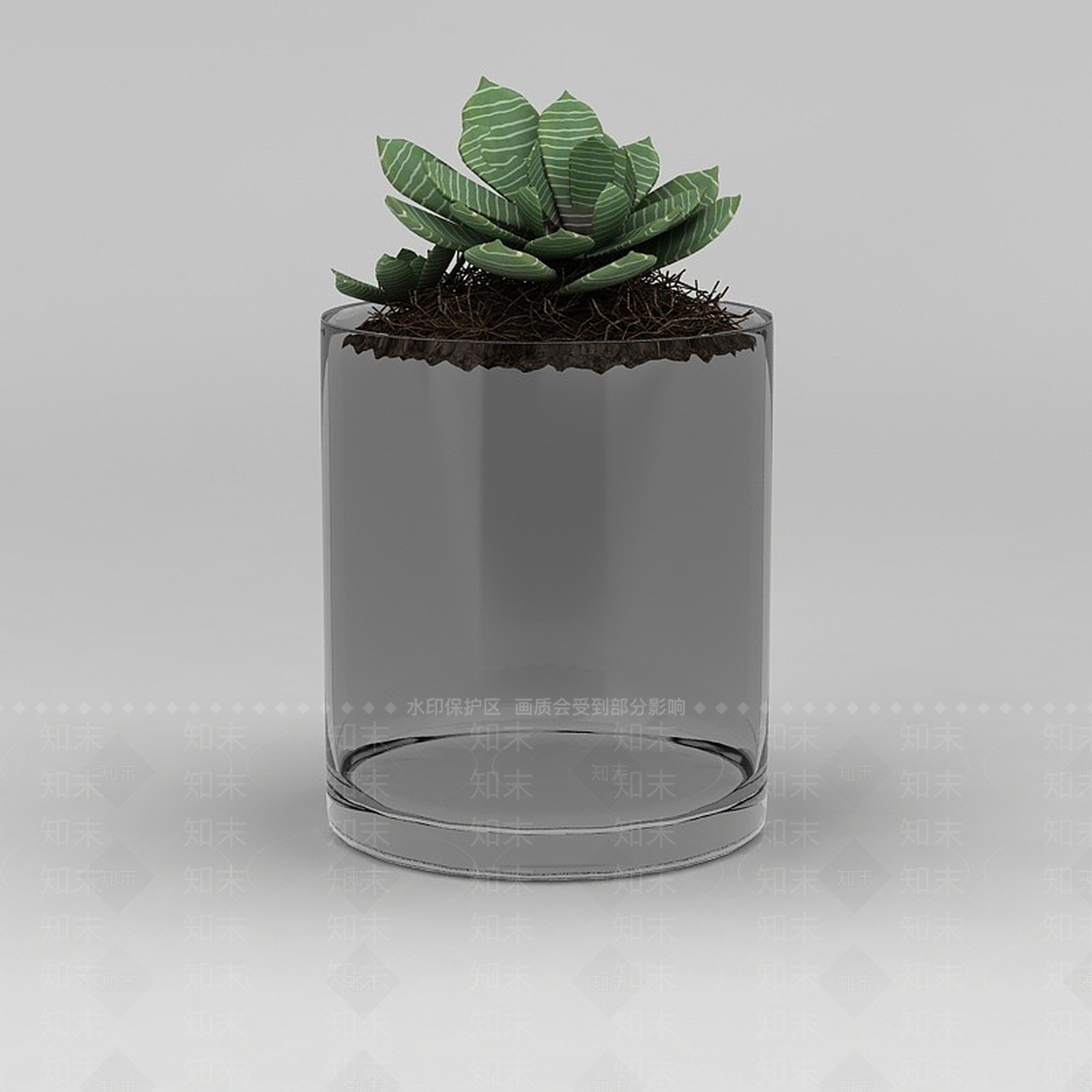 现代办公室多肉植物3D模型下载【ID:1188676752】