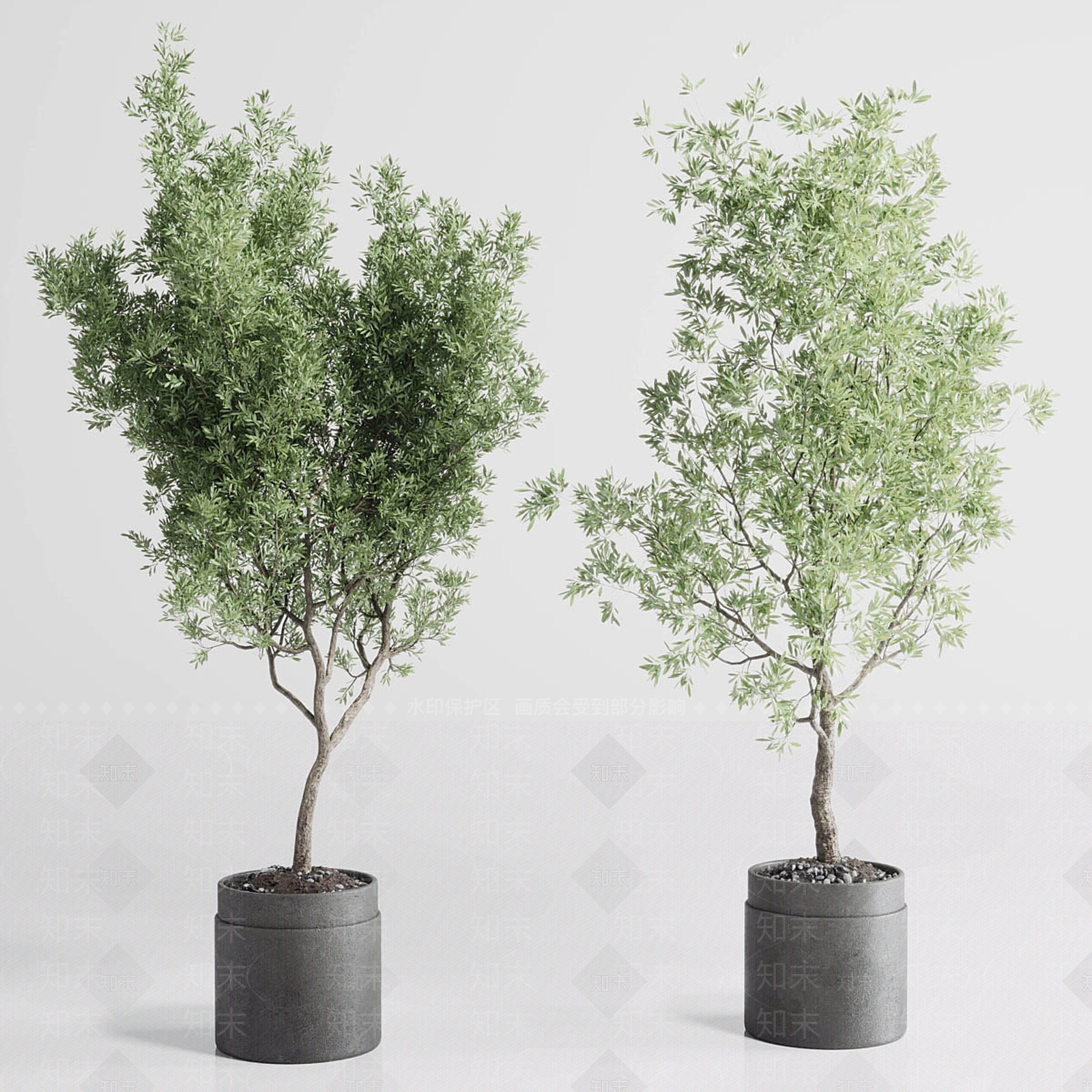 盆栽3D模型下载【ID:1188742940】