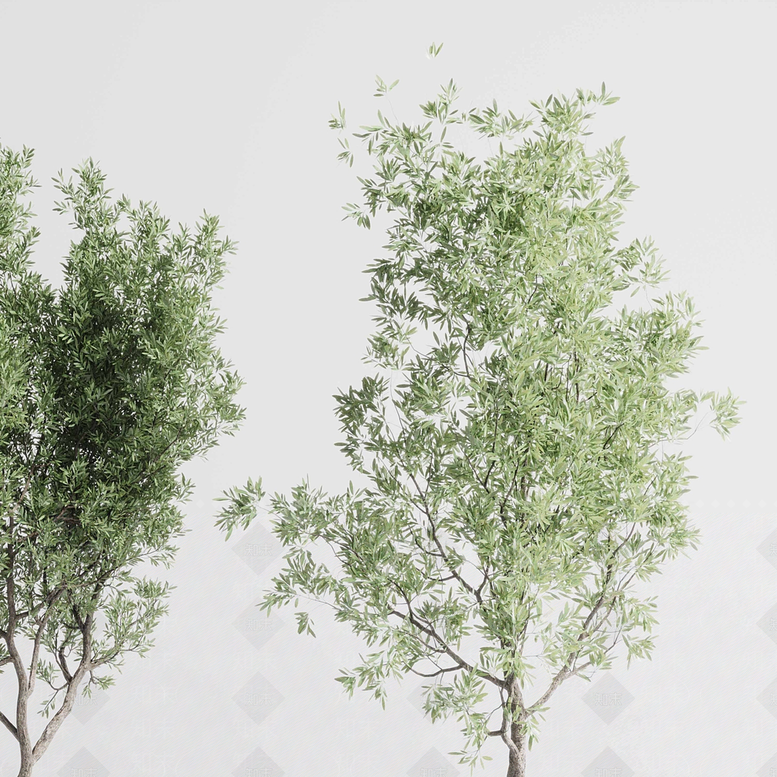 盆栽3D模型下载【ID:1188742940】