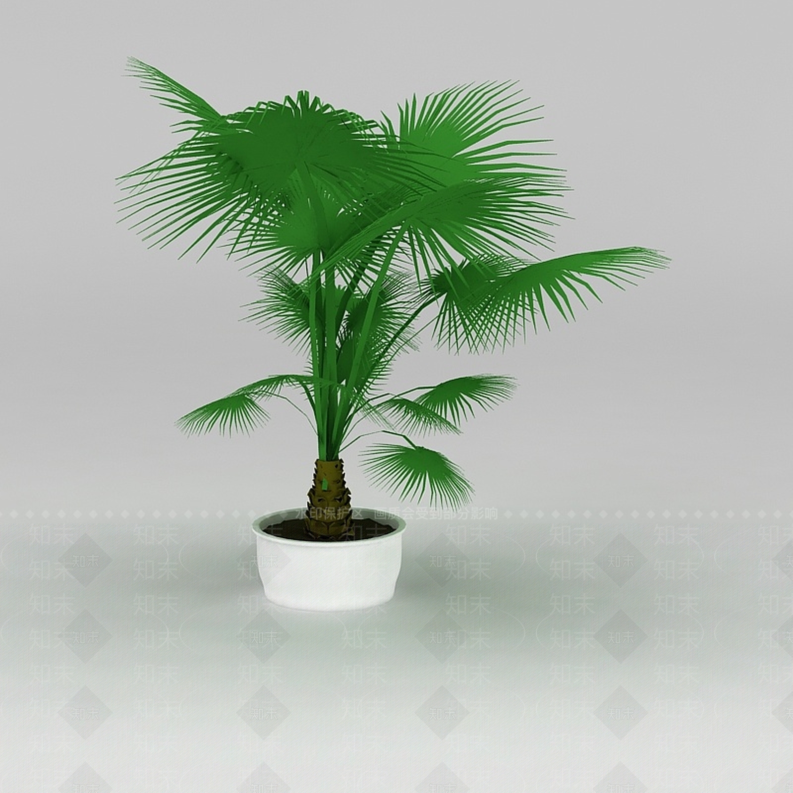 现代大厅盆景棕榈树3D模型下载【ID:1188757108】