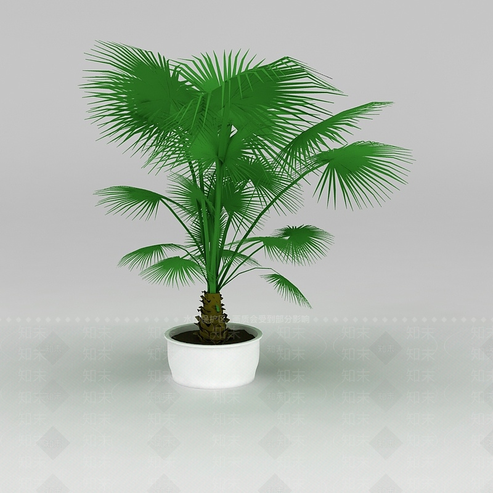 现代大厅盆景棕榈树3D模型下载【ID:1188757108】