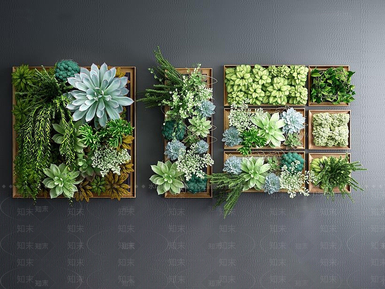 现代多肉植物墙3D模型下载【ID:1188766360】