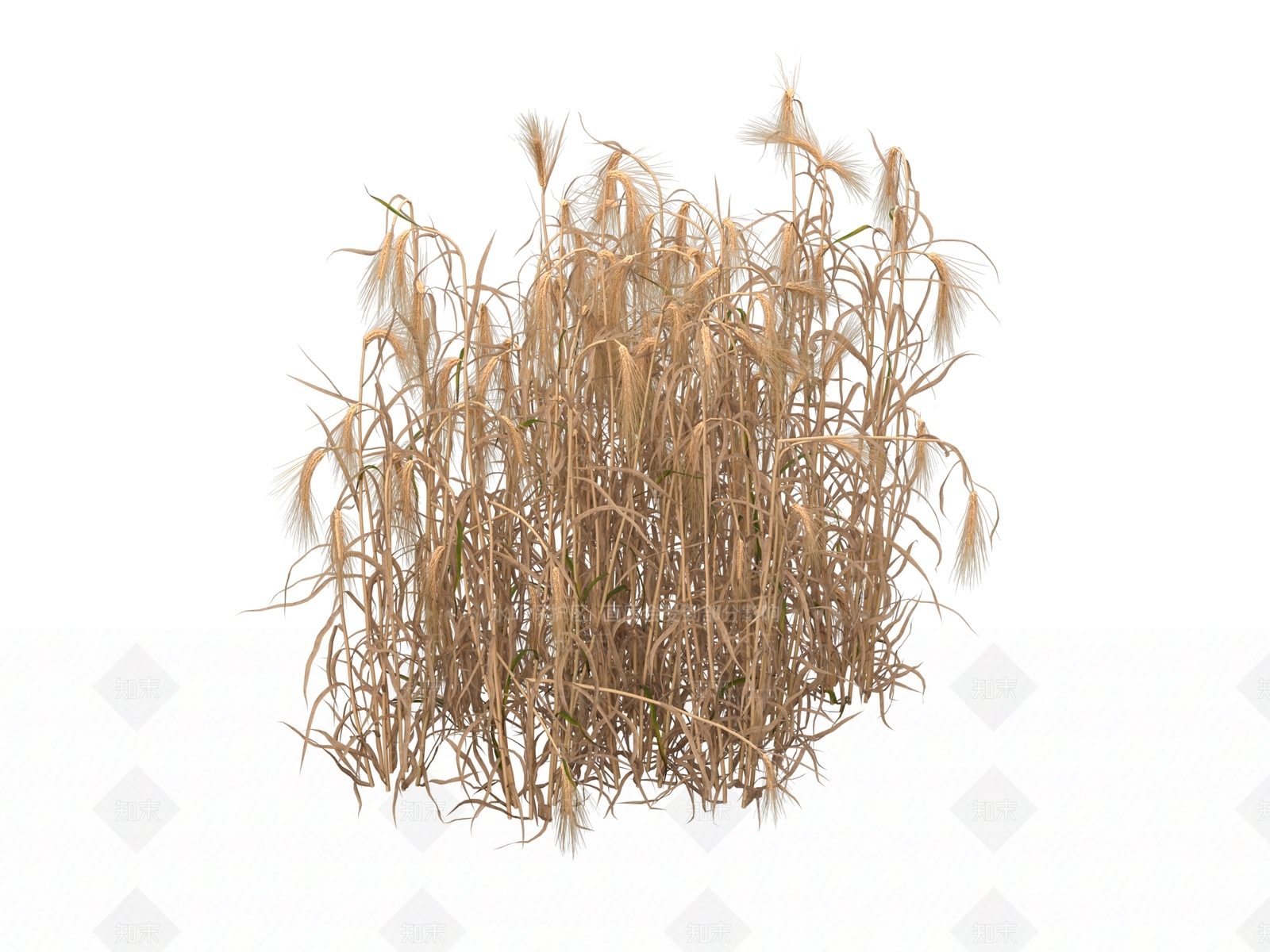 草3D模型下载【ID:1188798275】