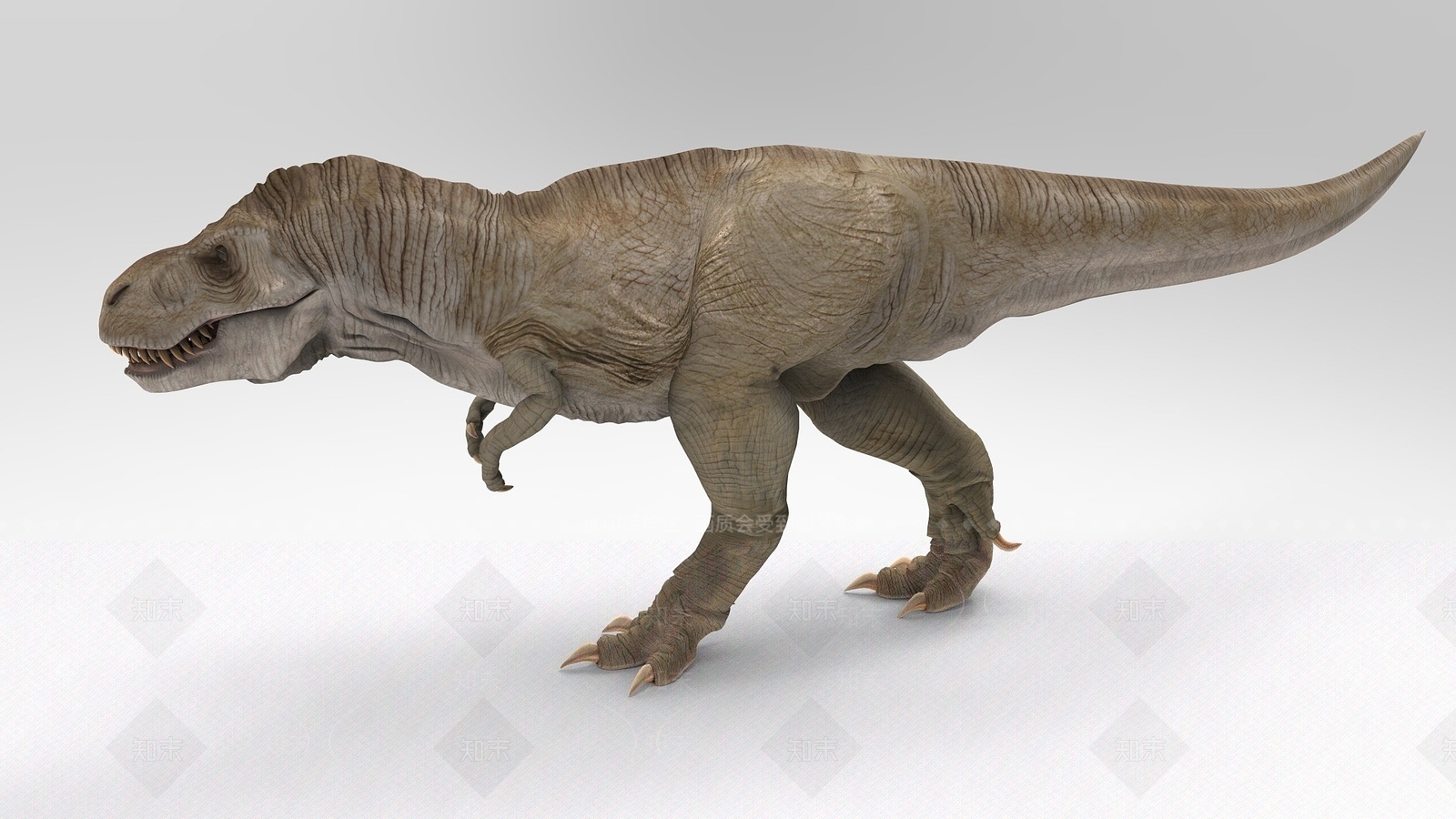 现代爬行类动物3D模型下载【ID:1188818955】
