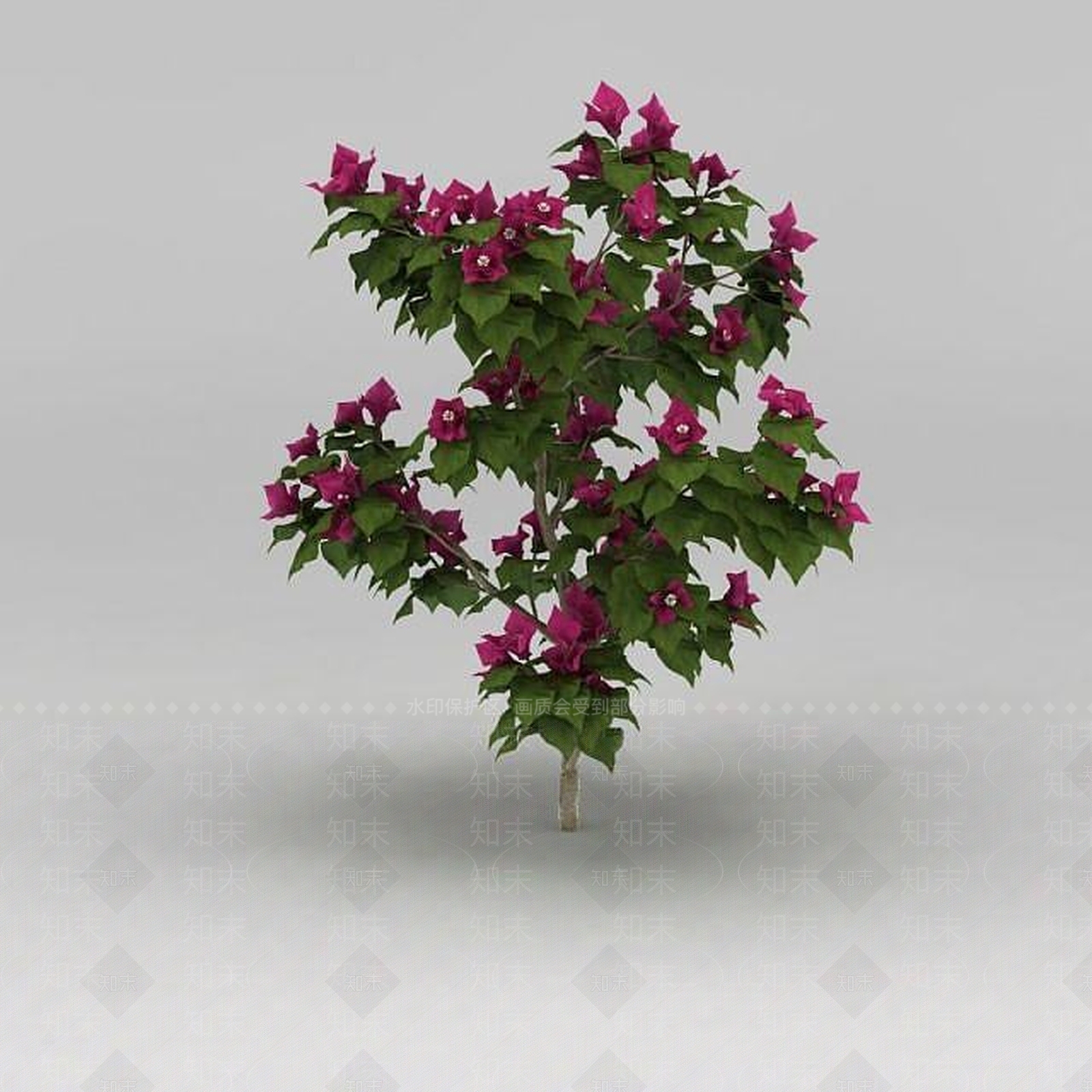 现代开花灌木3D模型下载【ID:1188831745】
