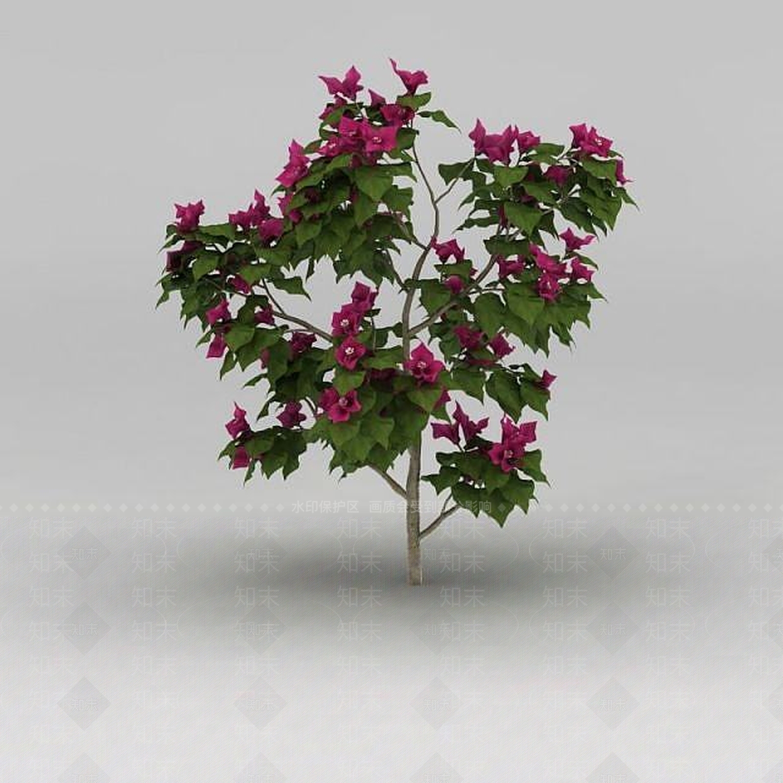 现代开花灌木3D模型下载【ID:1188831745】