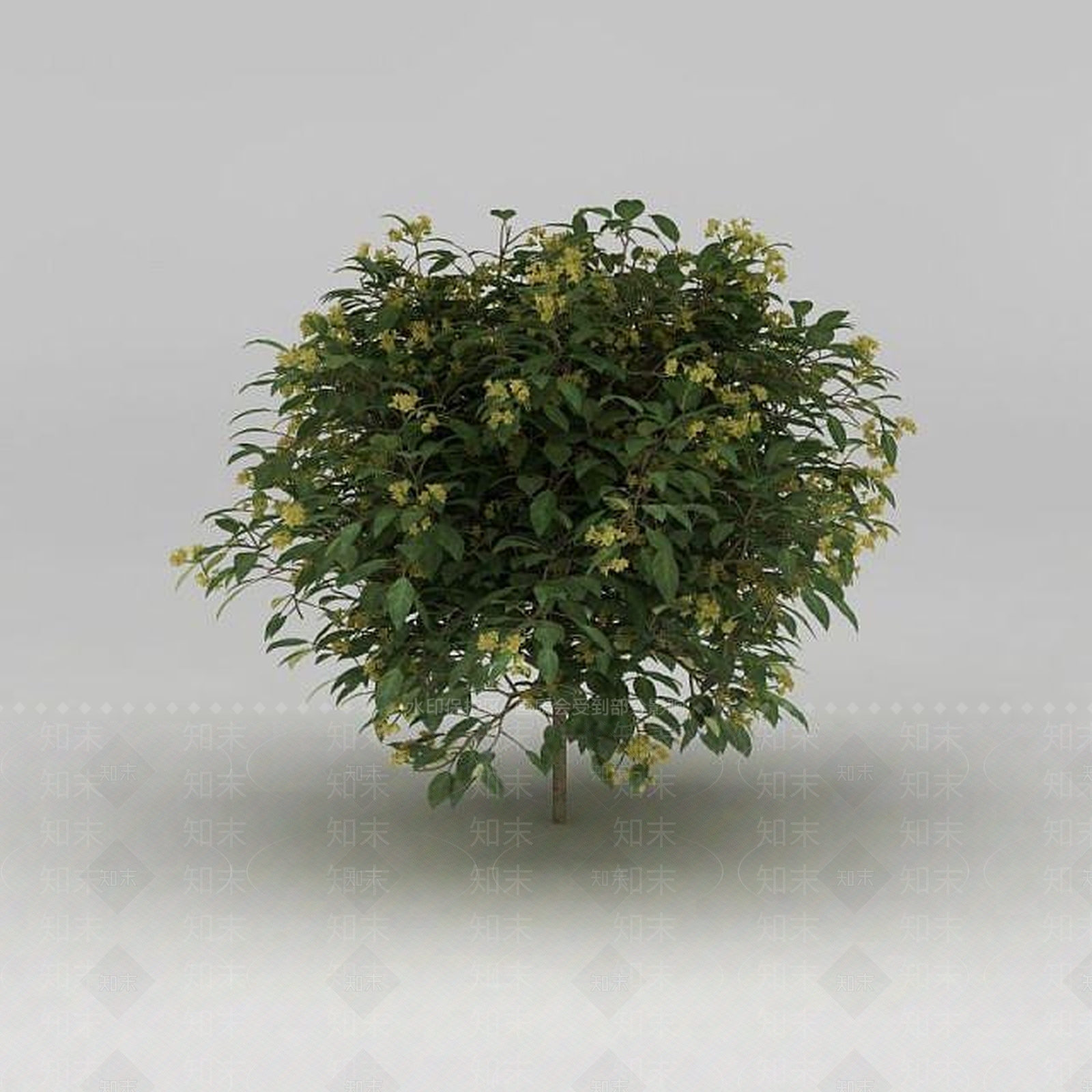 现代灌木3D模型下载【ID:1188831739】