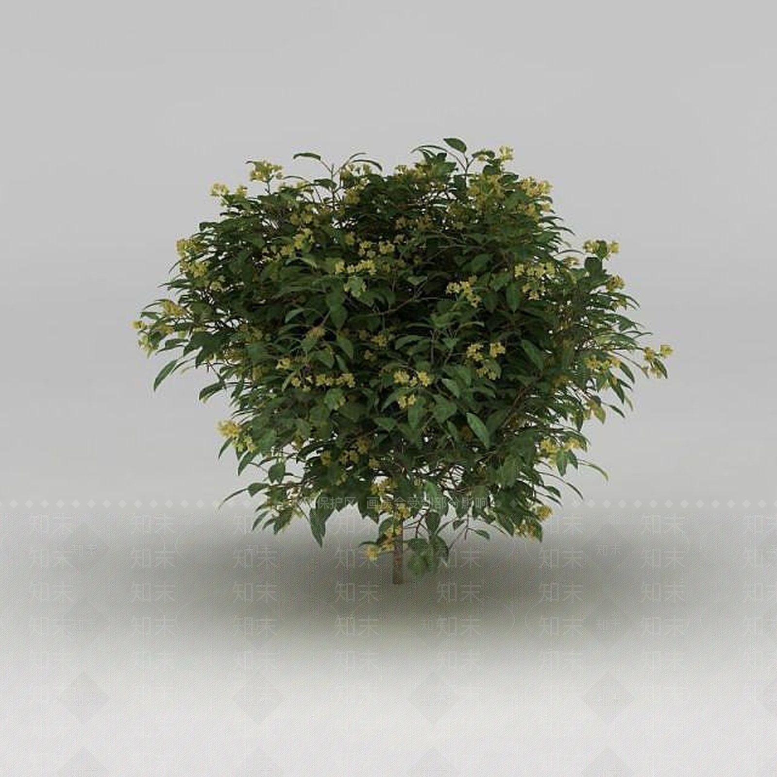 现代灌木3D模型下载【ID:1188831739】
