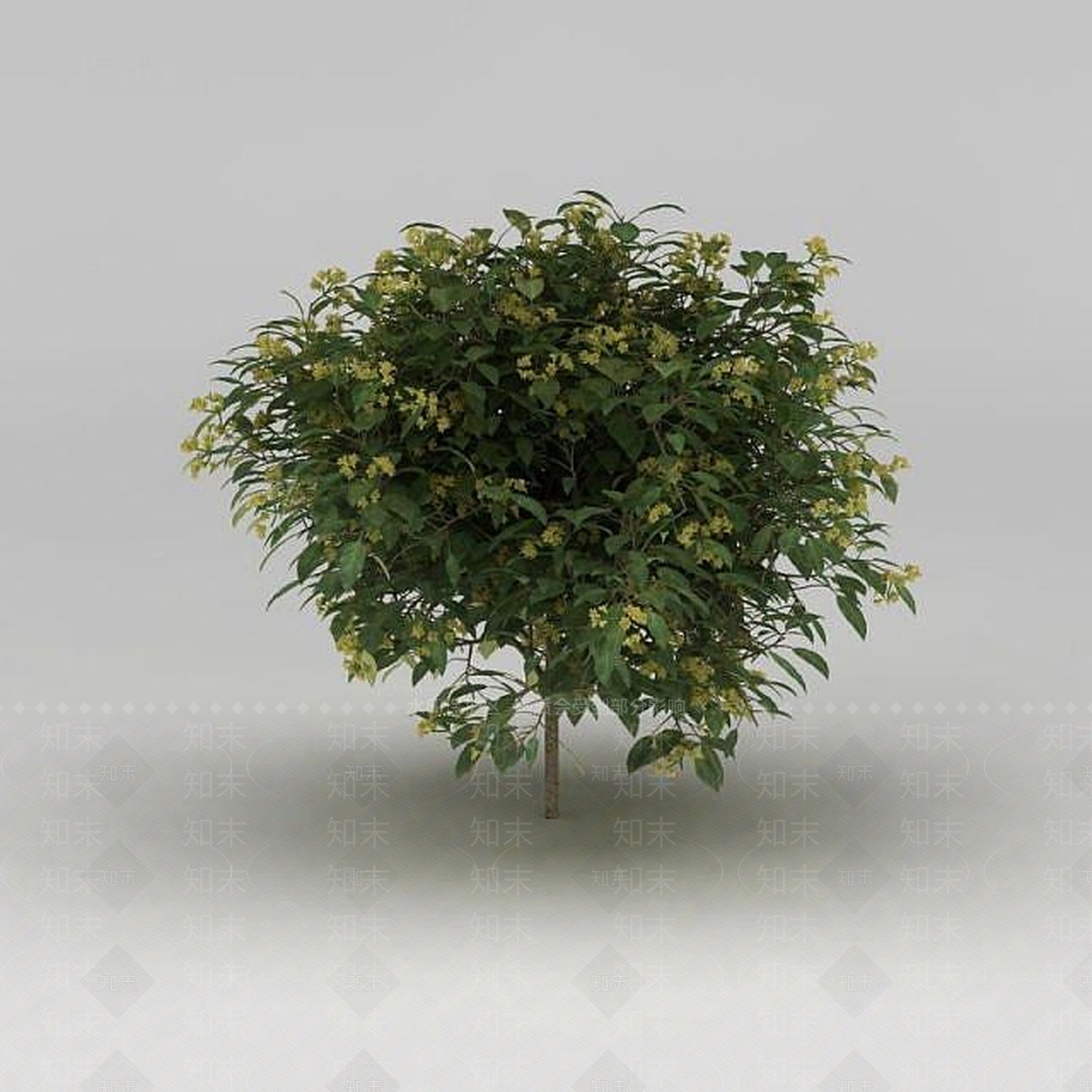 现代灌木3D模型下载【ID:1188831739】