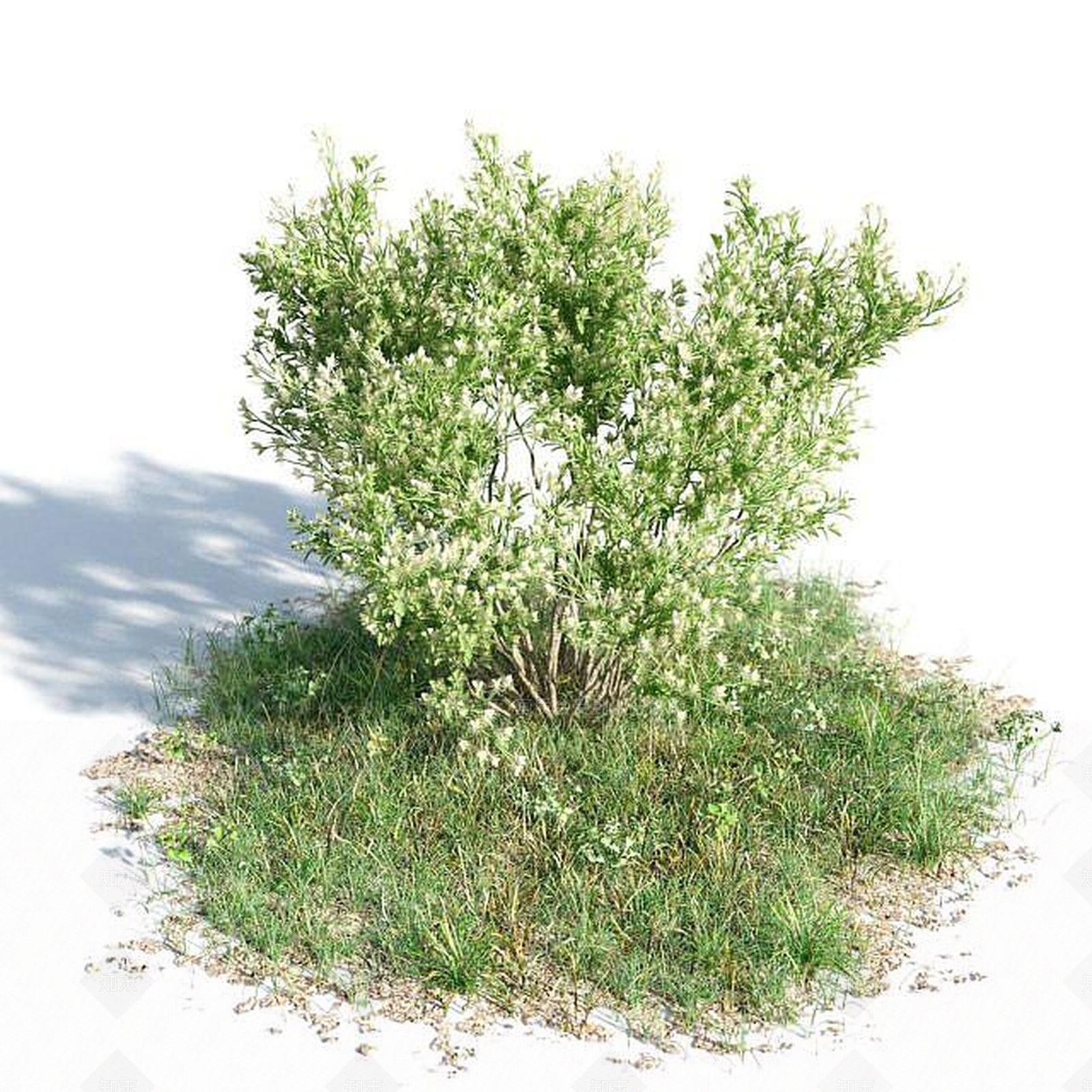 现代园林景观灌木3D模型下载【ID:1188831855】