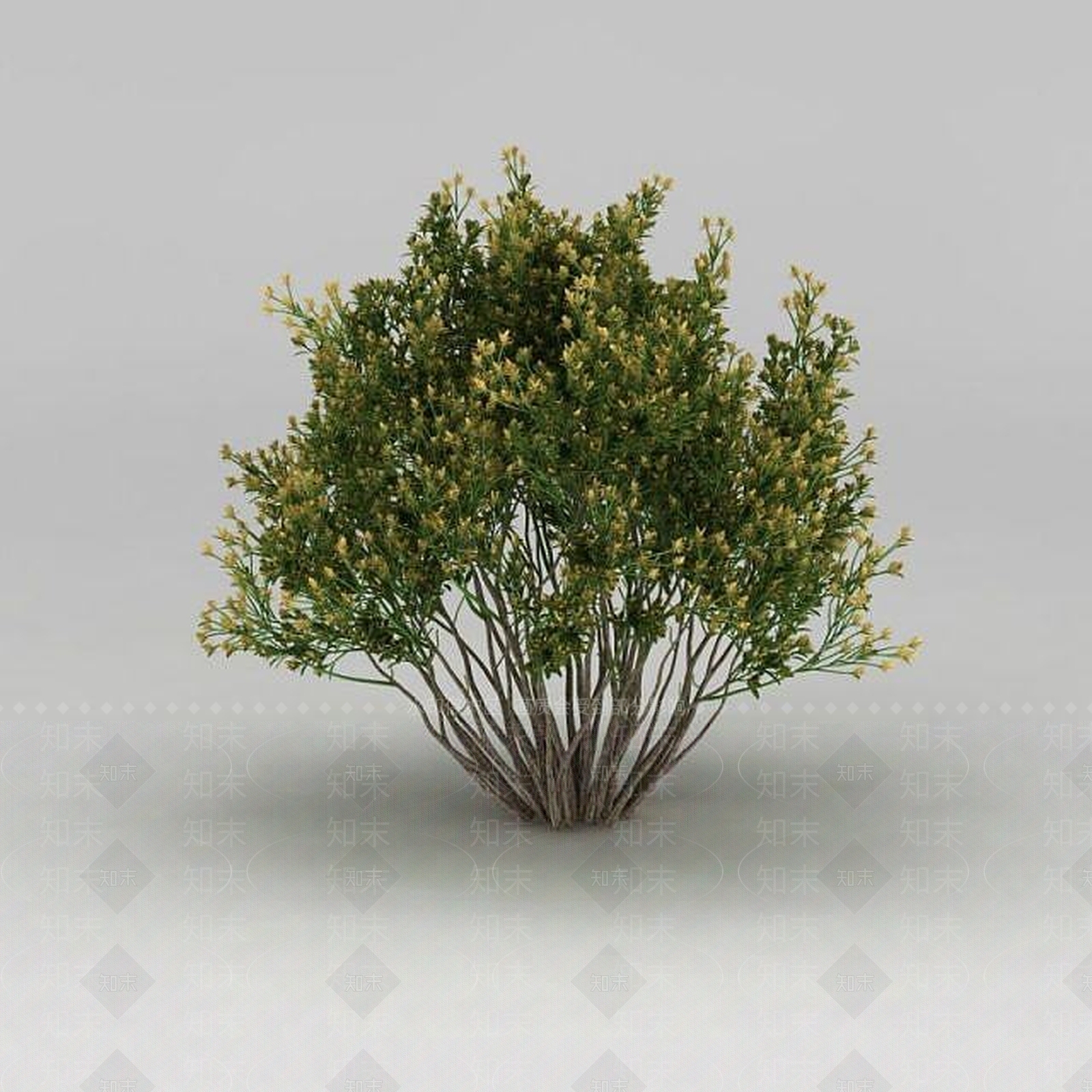 现代园林景观灌木3D模型下载【ID:1188831855】